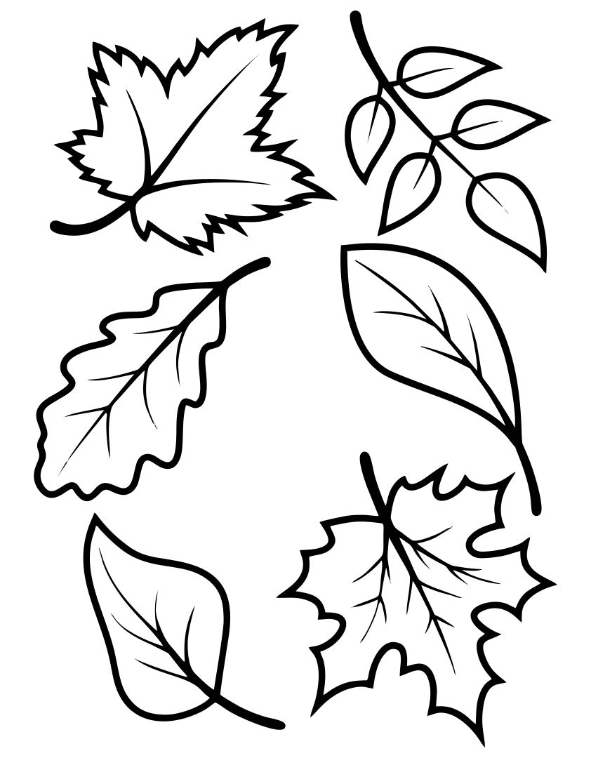 fall-leaves-free-printables