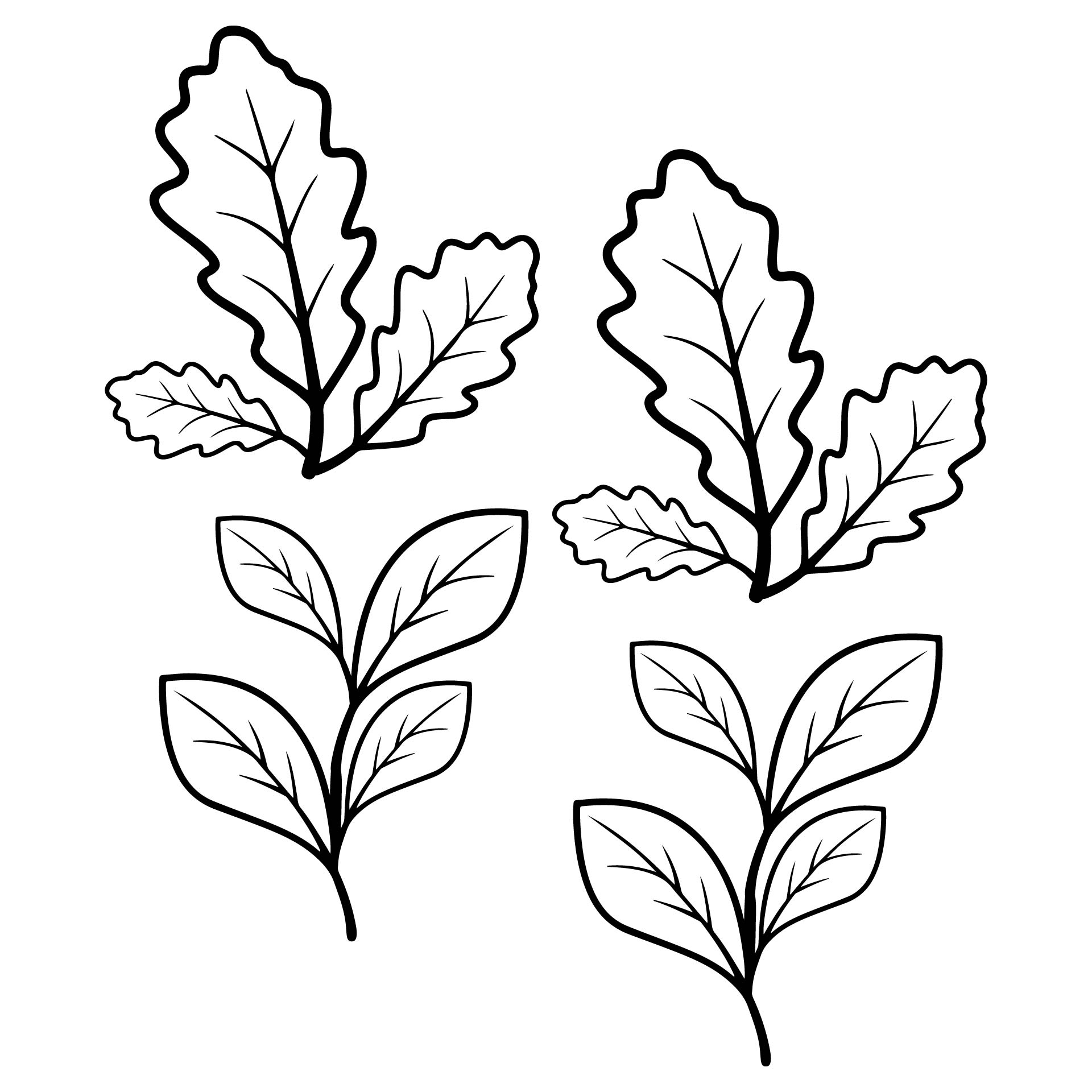 Free Printable Large Leaf Templates, Stencils and Patterns