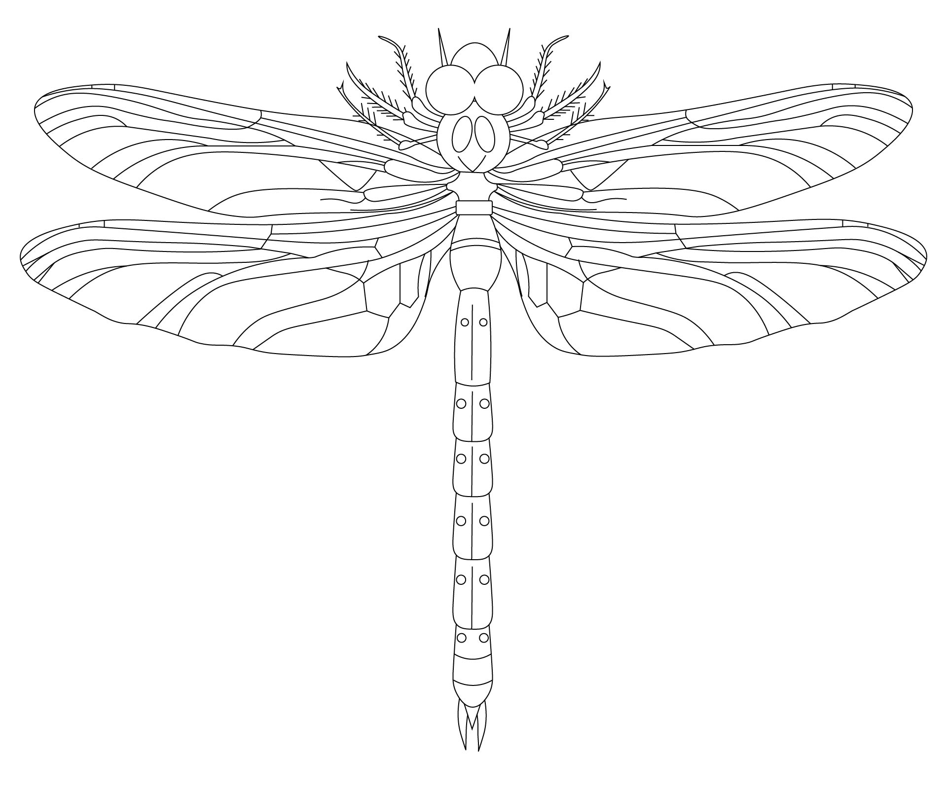 Printable Insects Coloring Pages for Kids