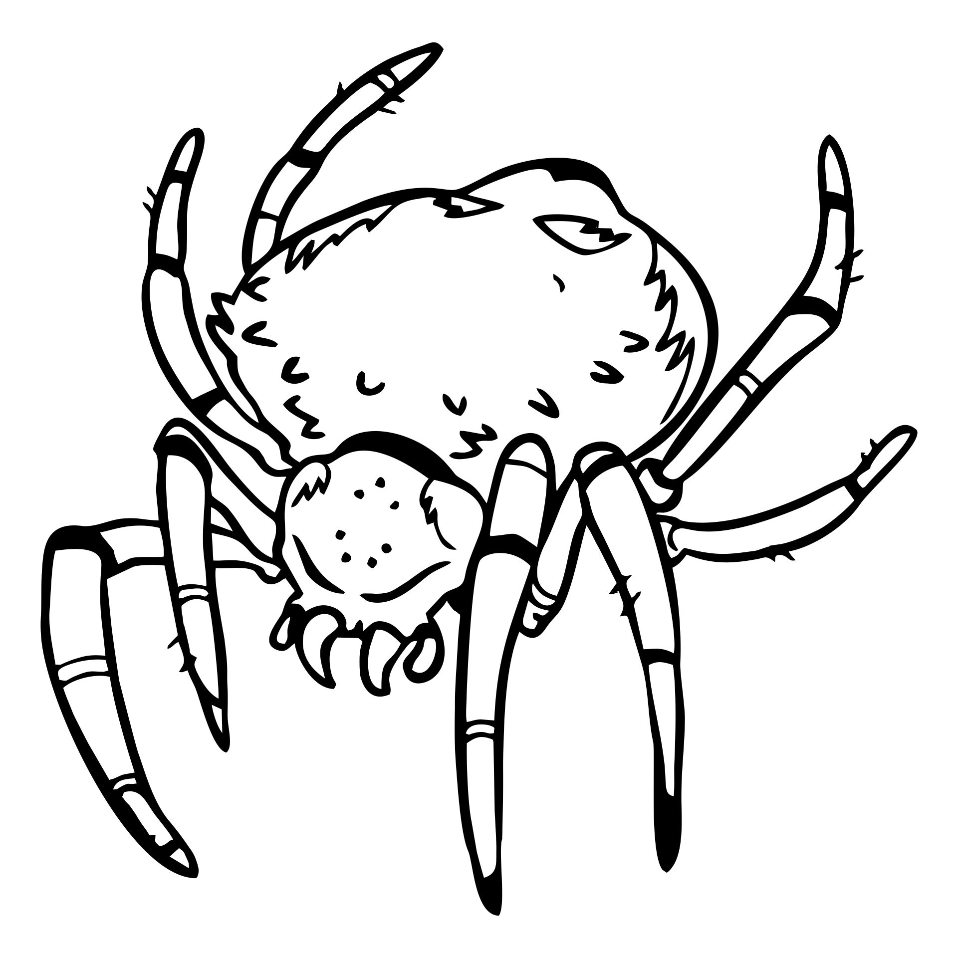 15 Best Printable Halloween Spider Coloring Pages - printablee.com