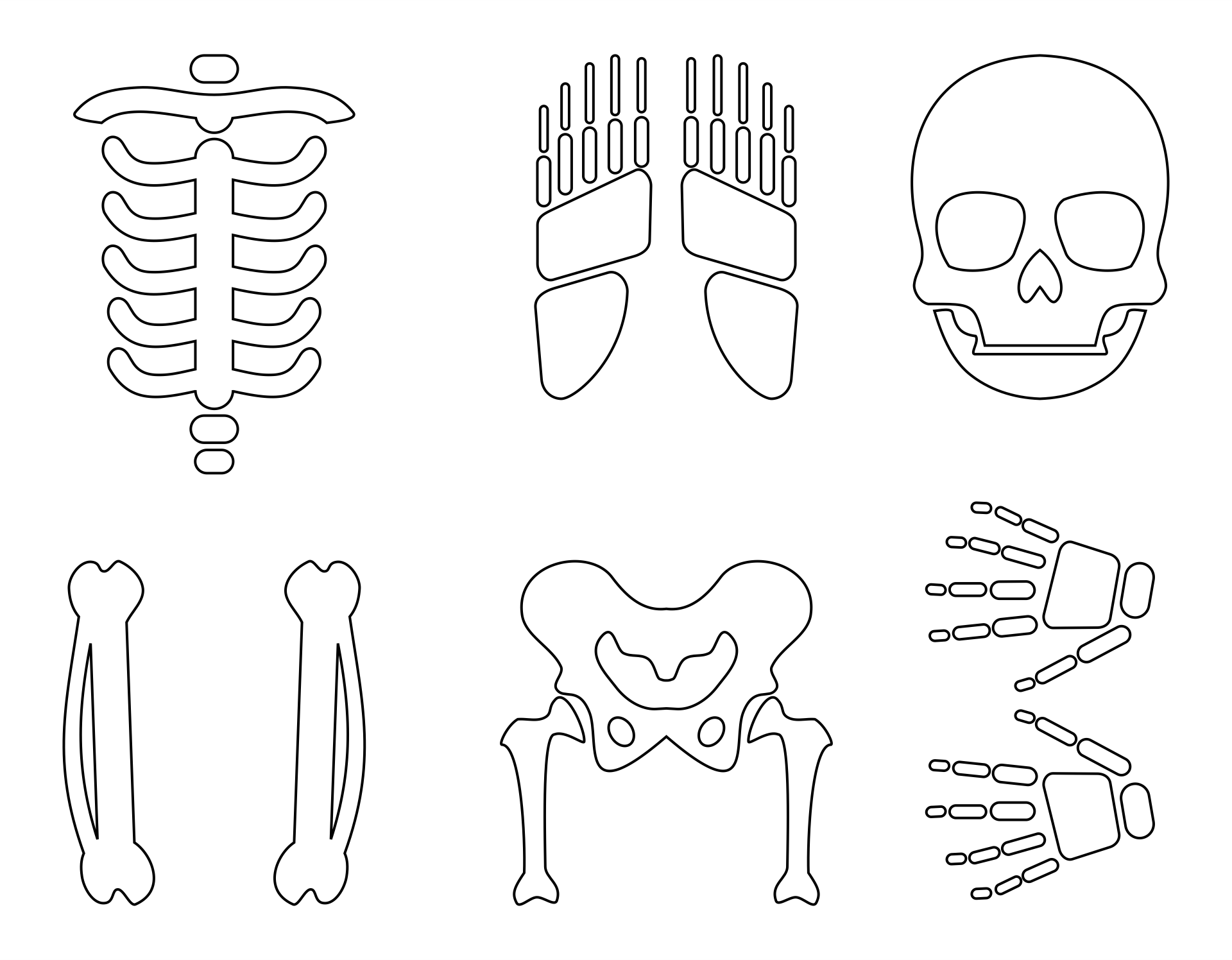 Skeleton Cut Out Template