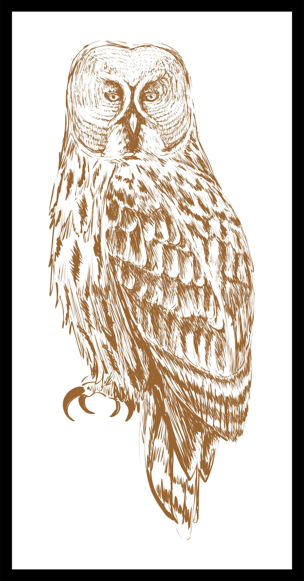 Vintage Printables Owl