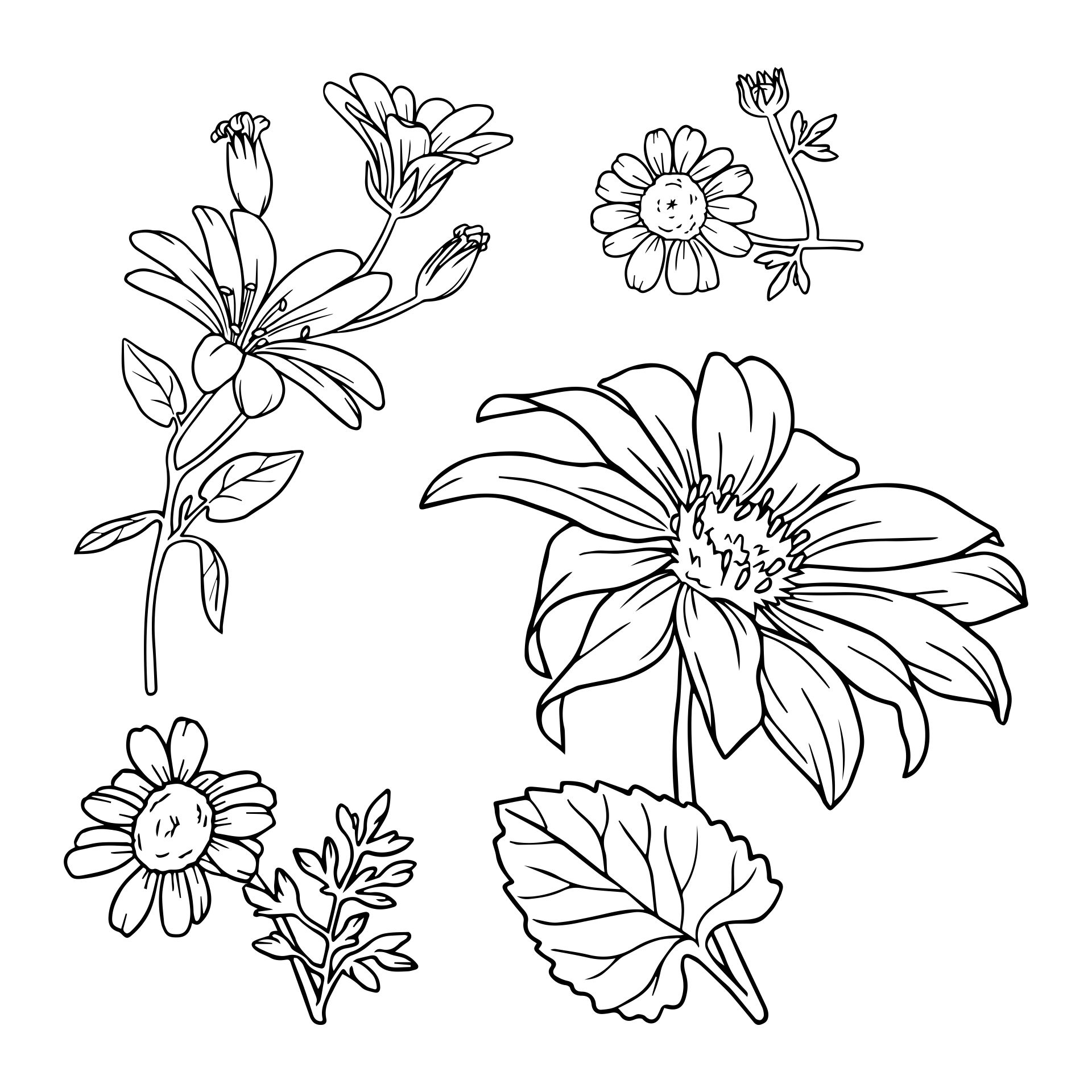 7 Best Printable Flower Patterns Wood