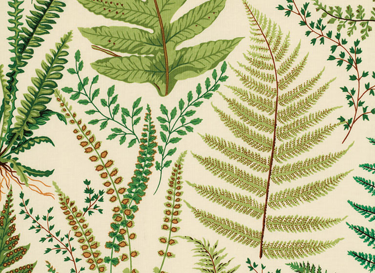 Botanical Fern Print Fabric