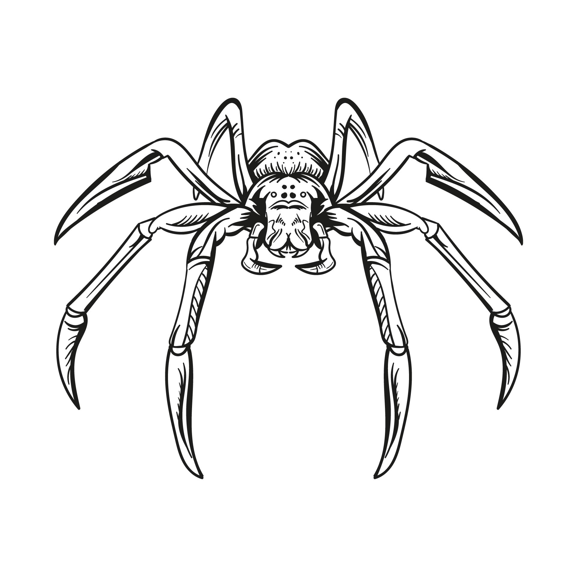 Spider Halloween Coloring Pages : Grab your crayons and have some fun