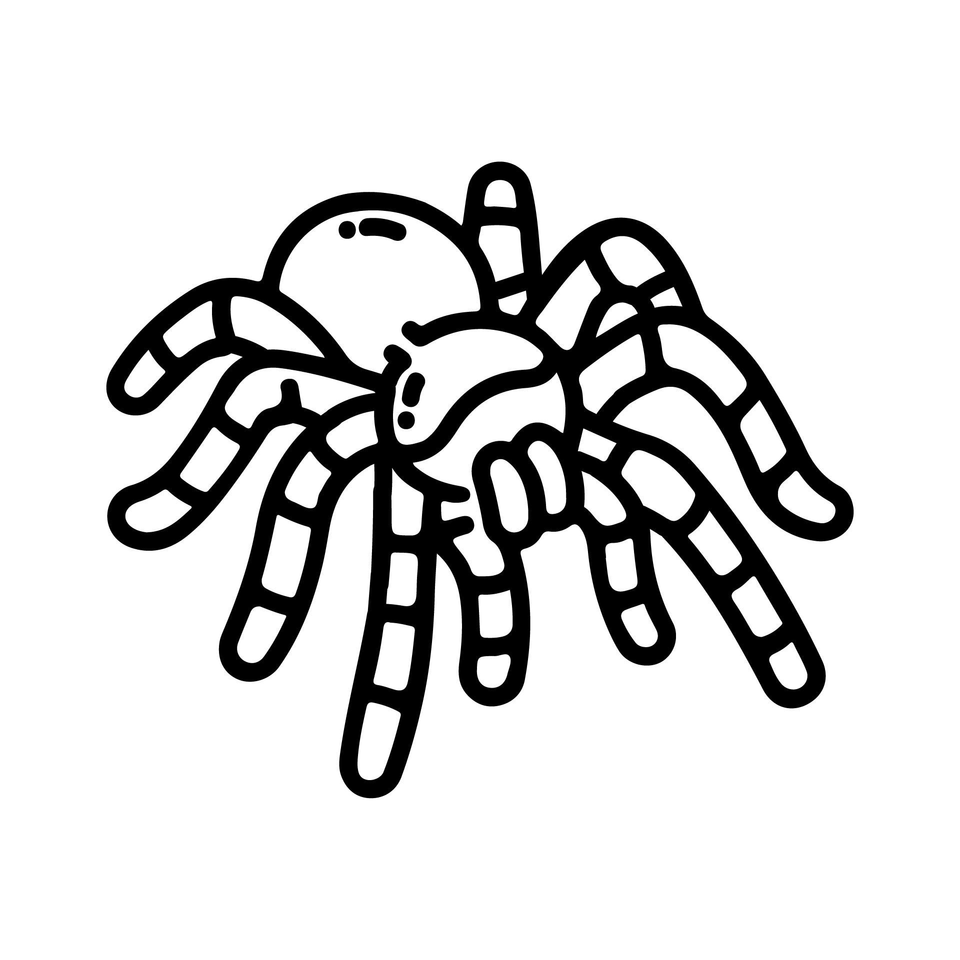 10 Best Spiders For Halloween Printable Printablee Com
