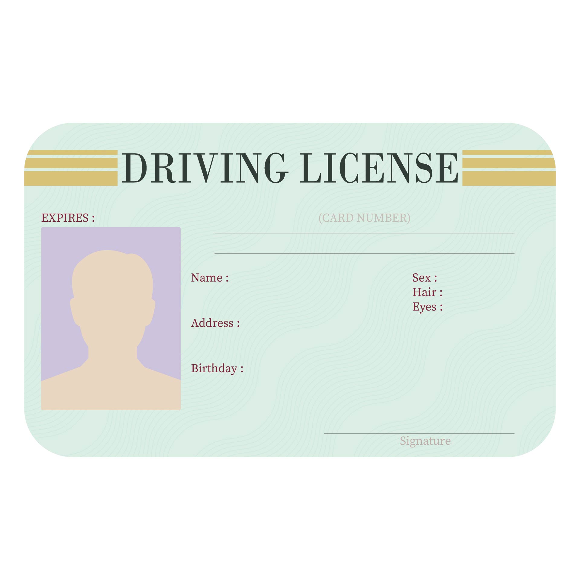 Blank Drivers License Template
