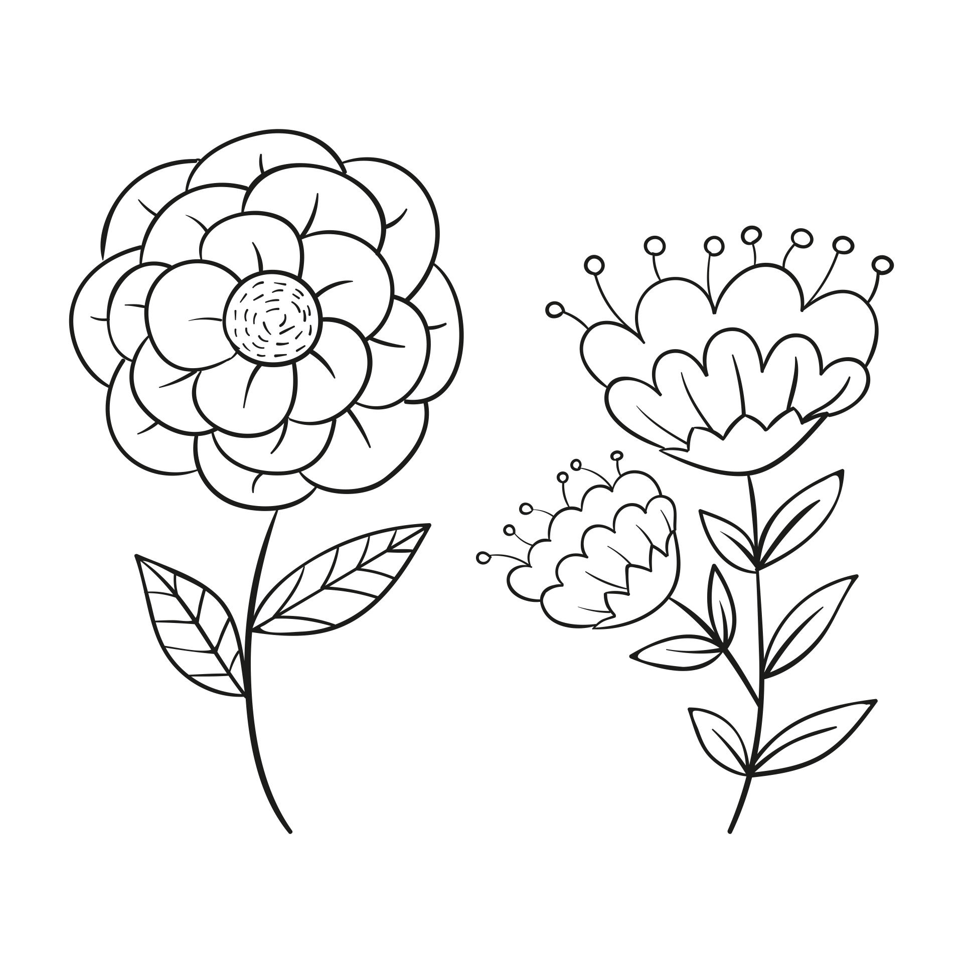 Flower Coloring Pages Printable Templates