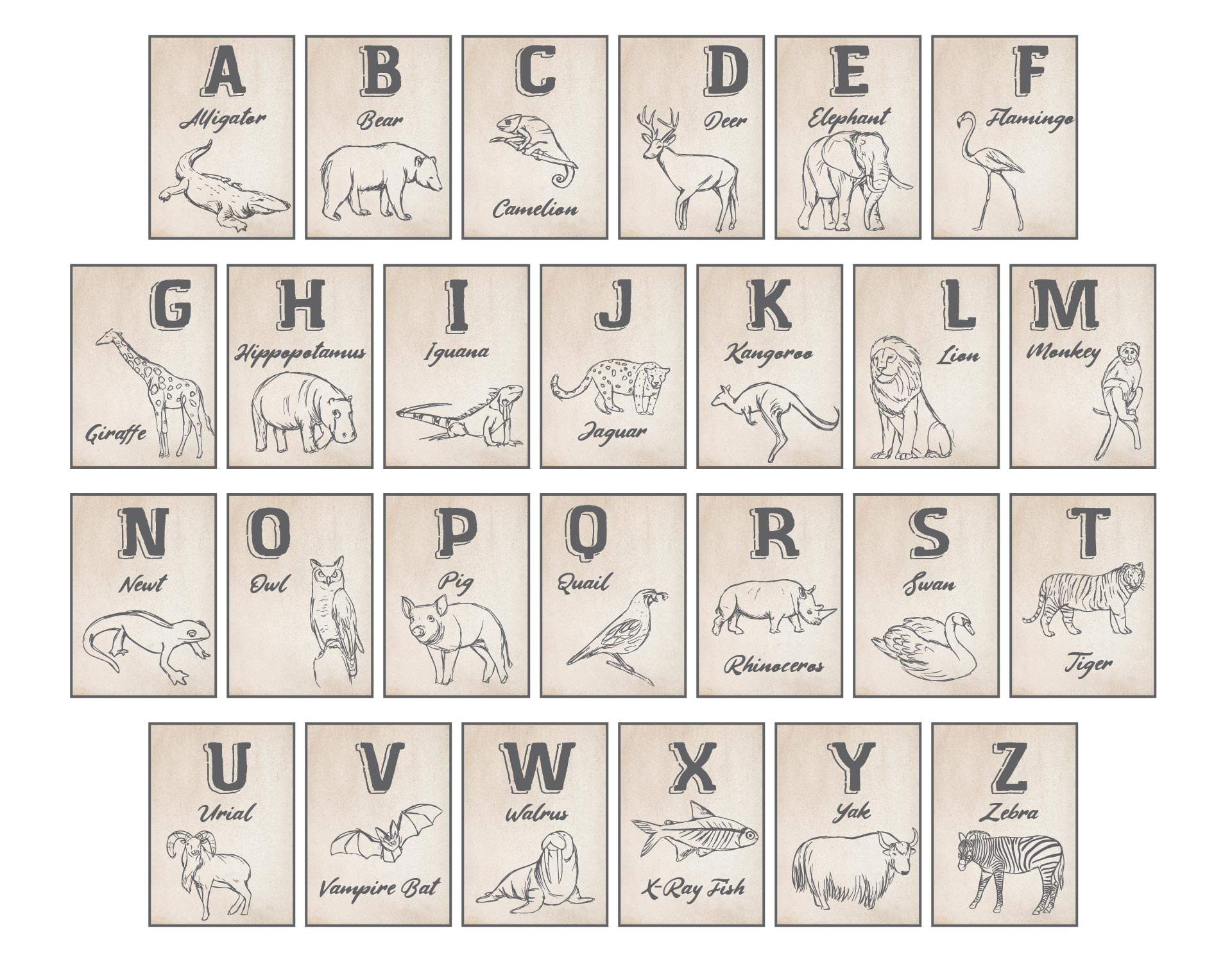 Vintage Animal Alphabet Flash Cards