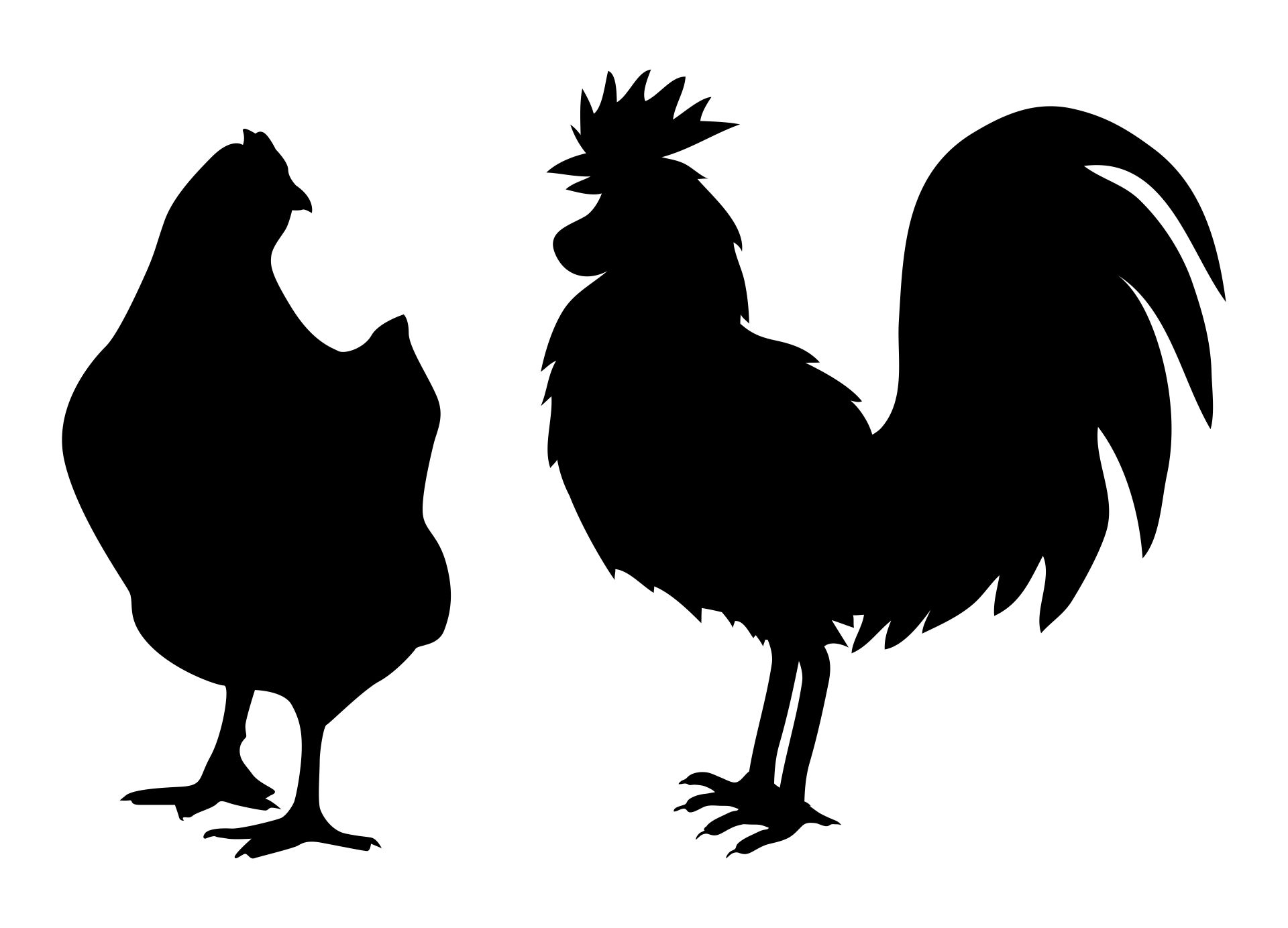 Chicken and Rooster Stencils
