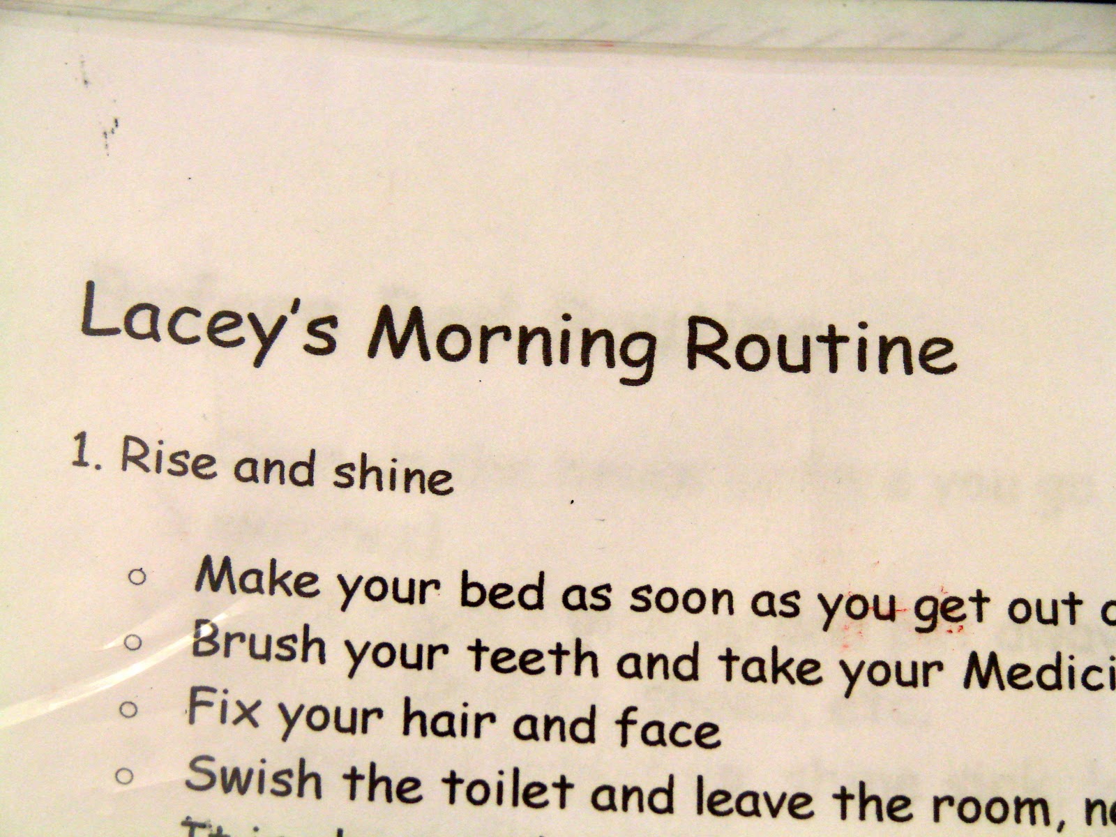 FlyLady Control Printable Morning Routine