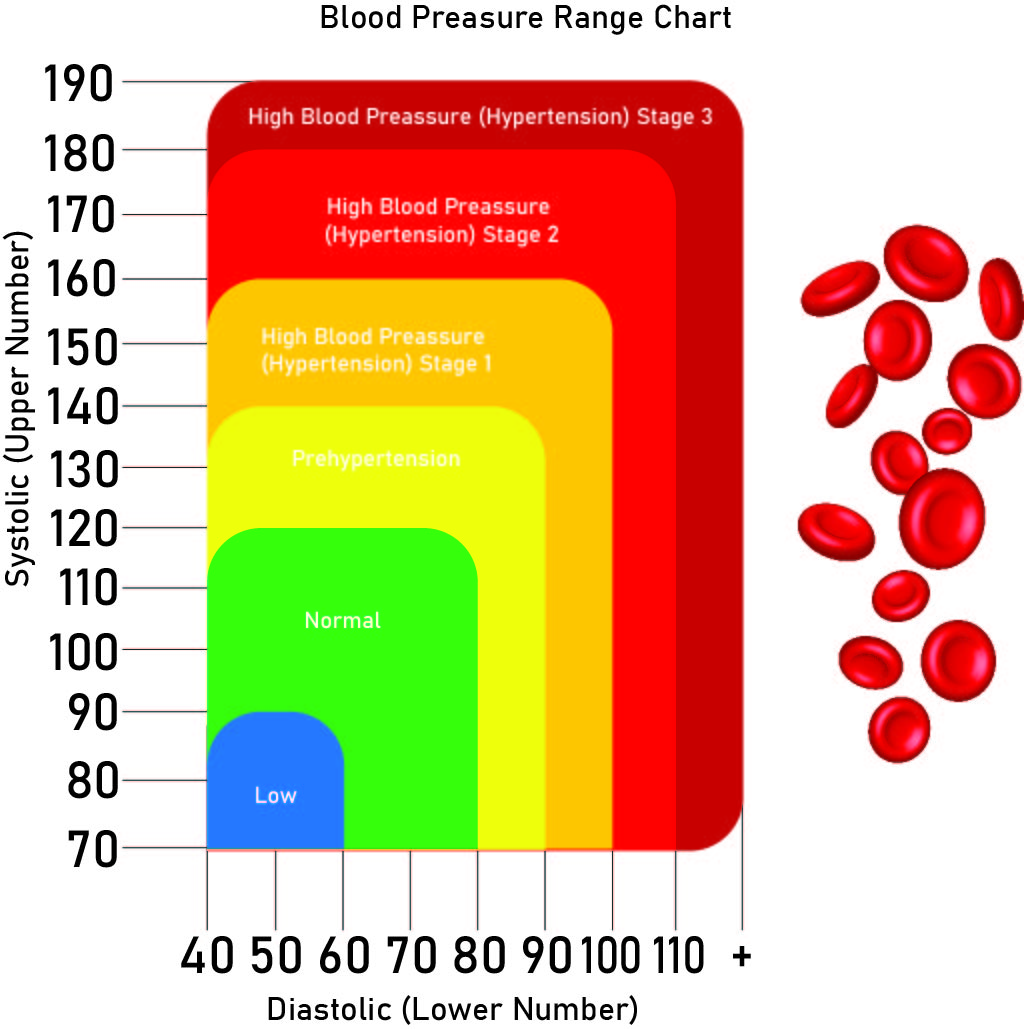 female blood pressure chart