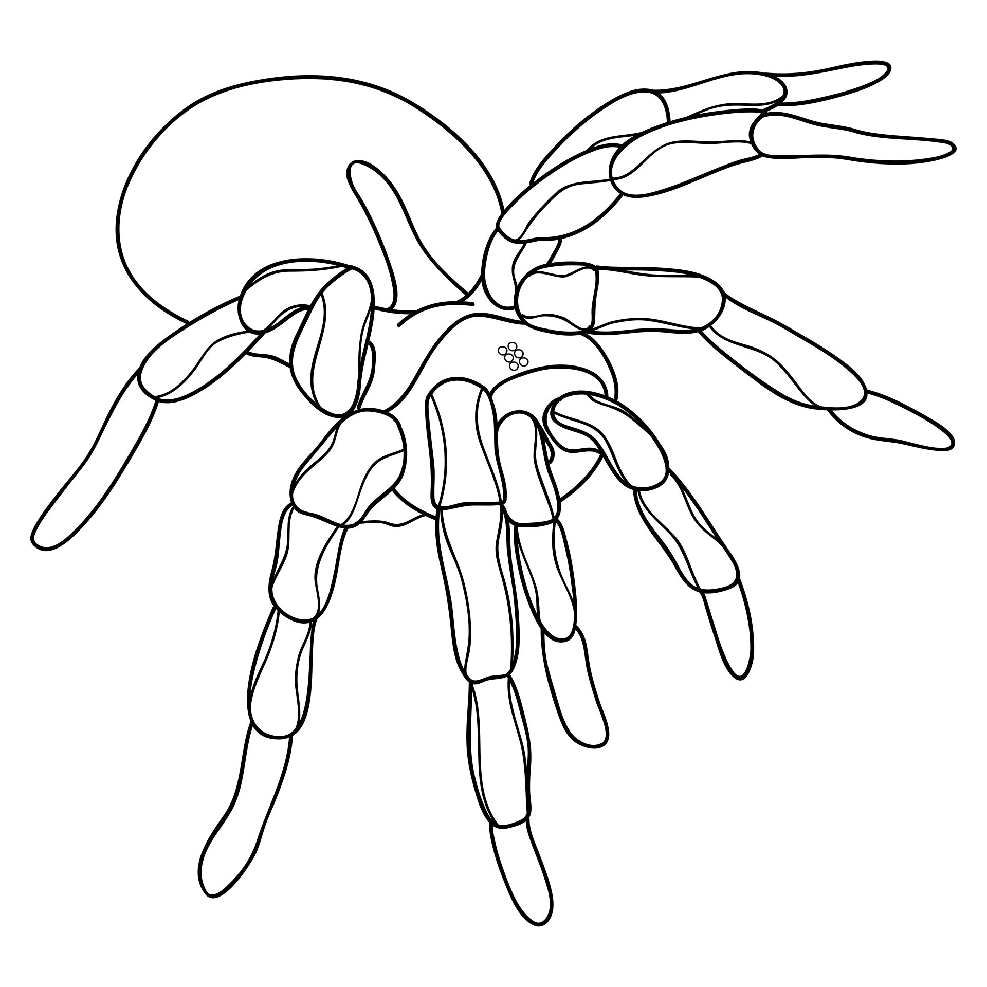 Scary Spider Coloring Pages