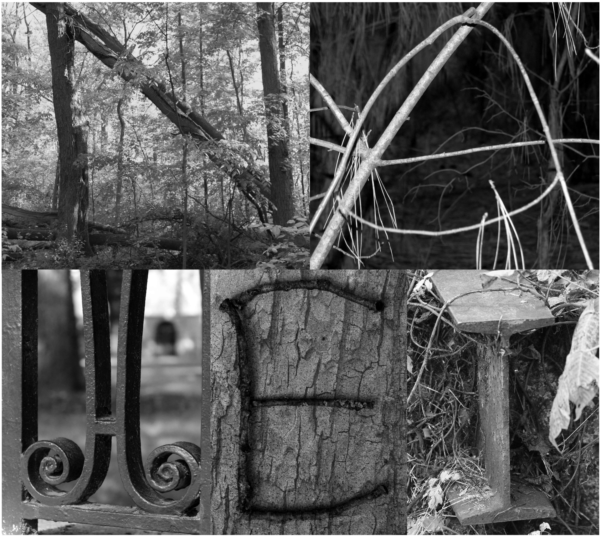 9 Best Free Printable Black And White Letter Photography Printablee Com