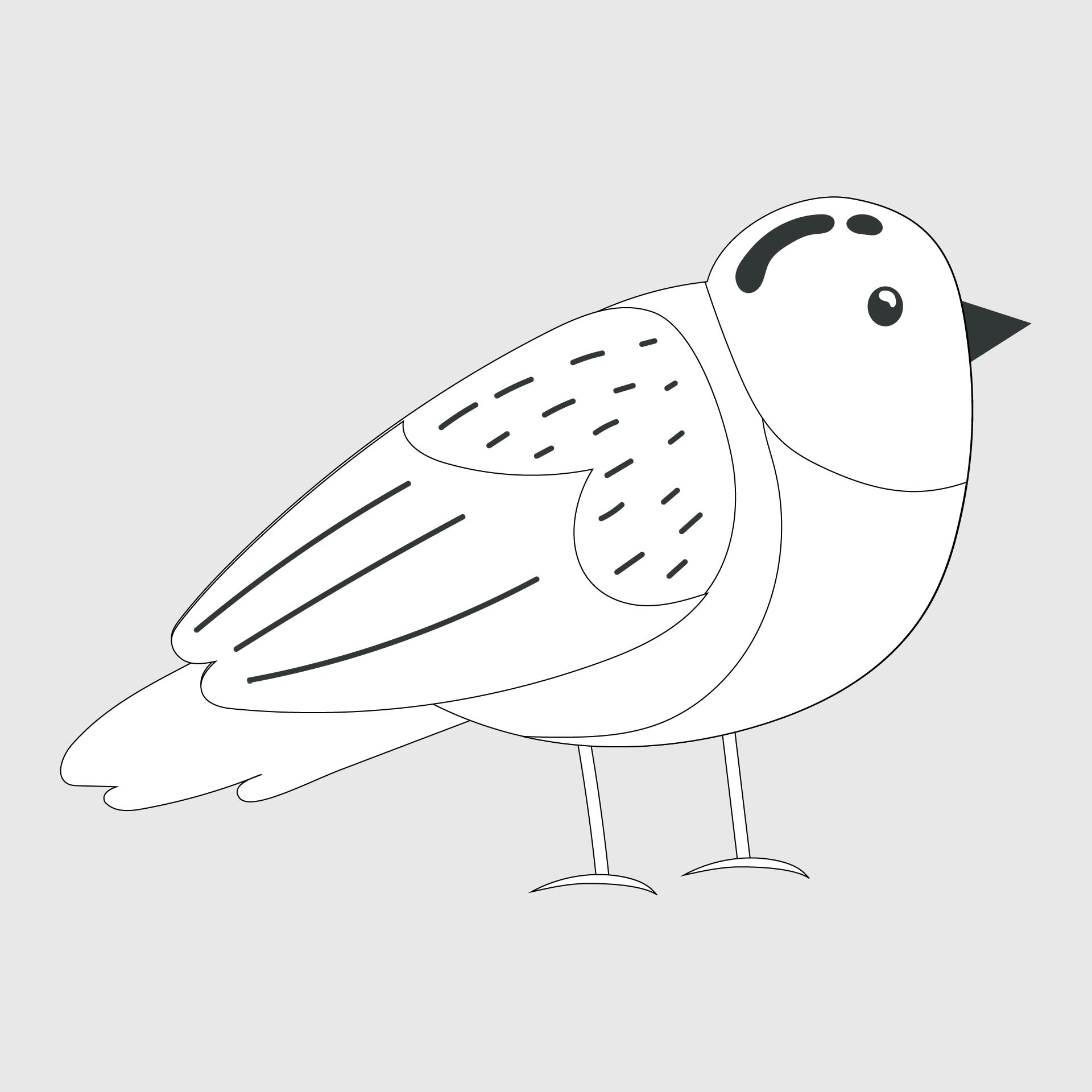 Bird Printable