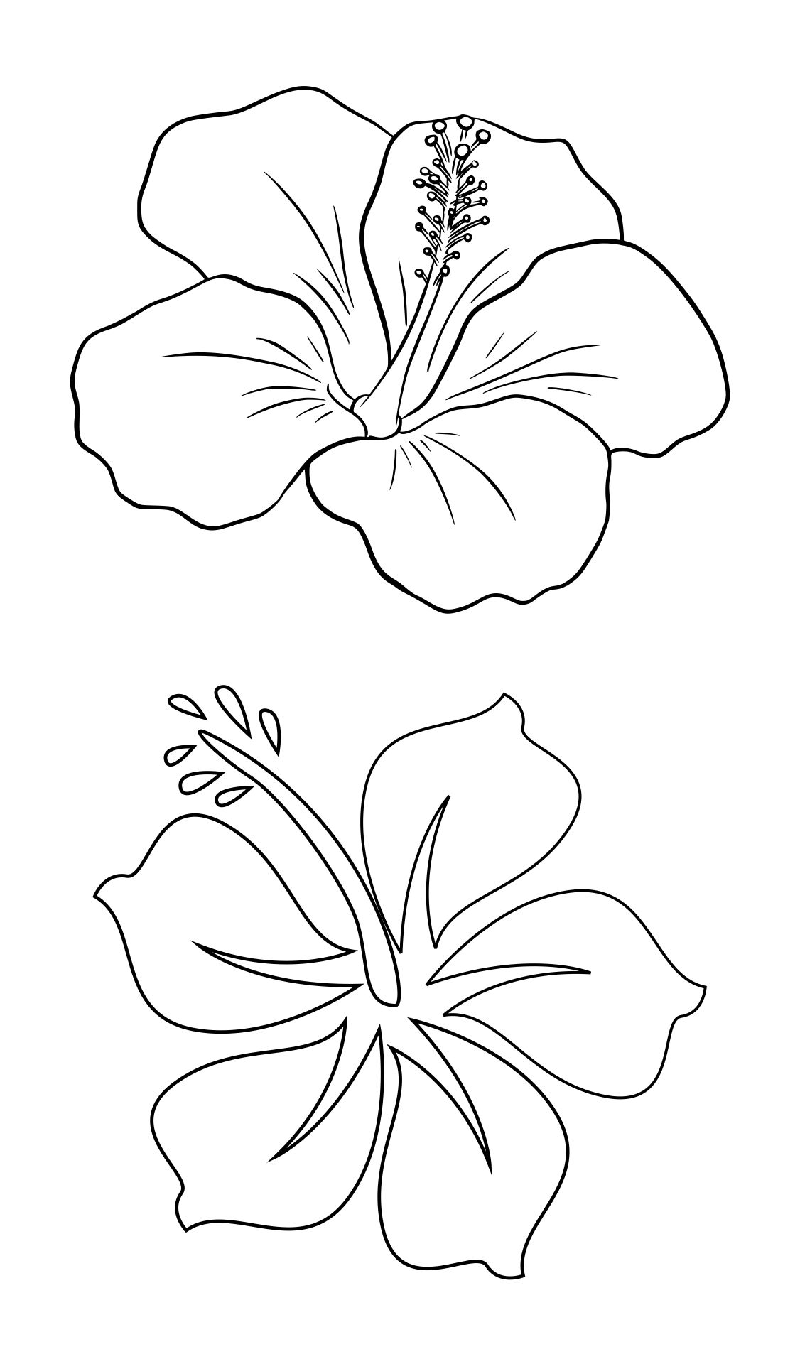 Hibiscus Flower Stencil Template