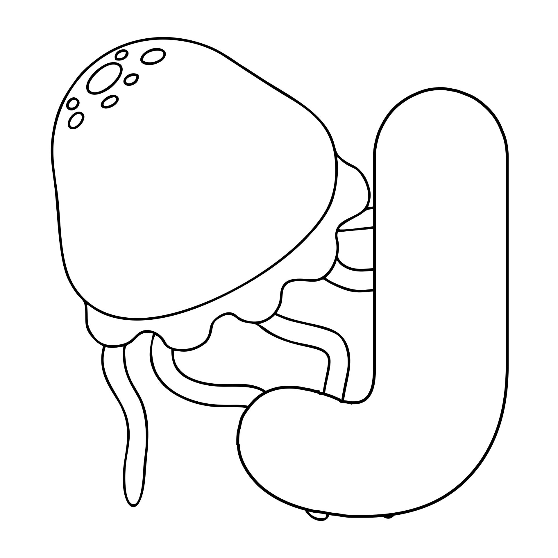Letter J Jellyfish Coloring Page