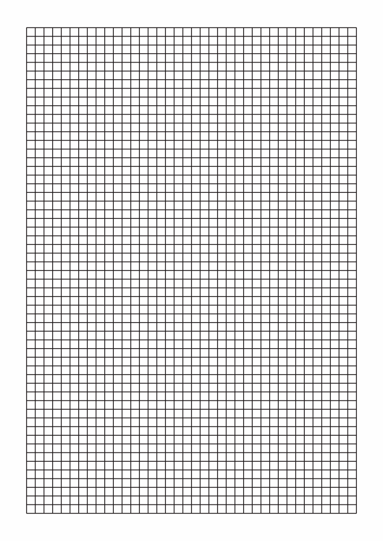Printable Full Page Graph Paper