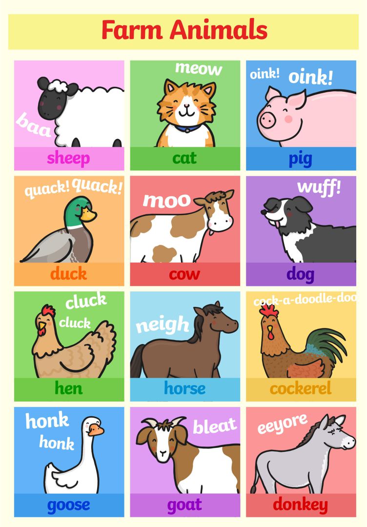 4 Best Portable Word Wall Printable PDF For Free At Printablee 4-best-portable-word-wall-printable-pdf-for-free-at-printablee