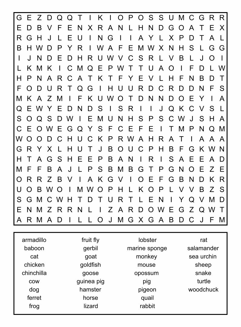 memory easy word search puzzle for dementia patients american home
