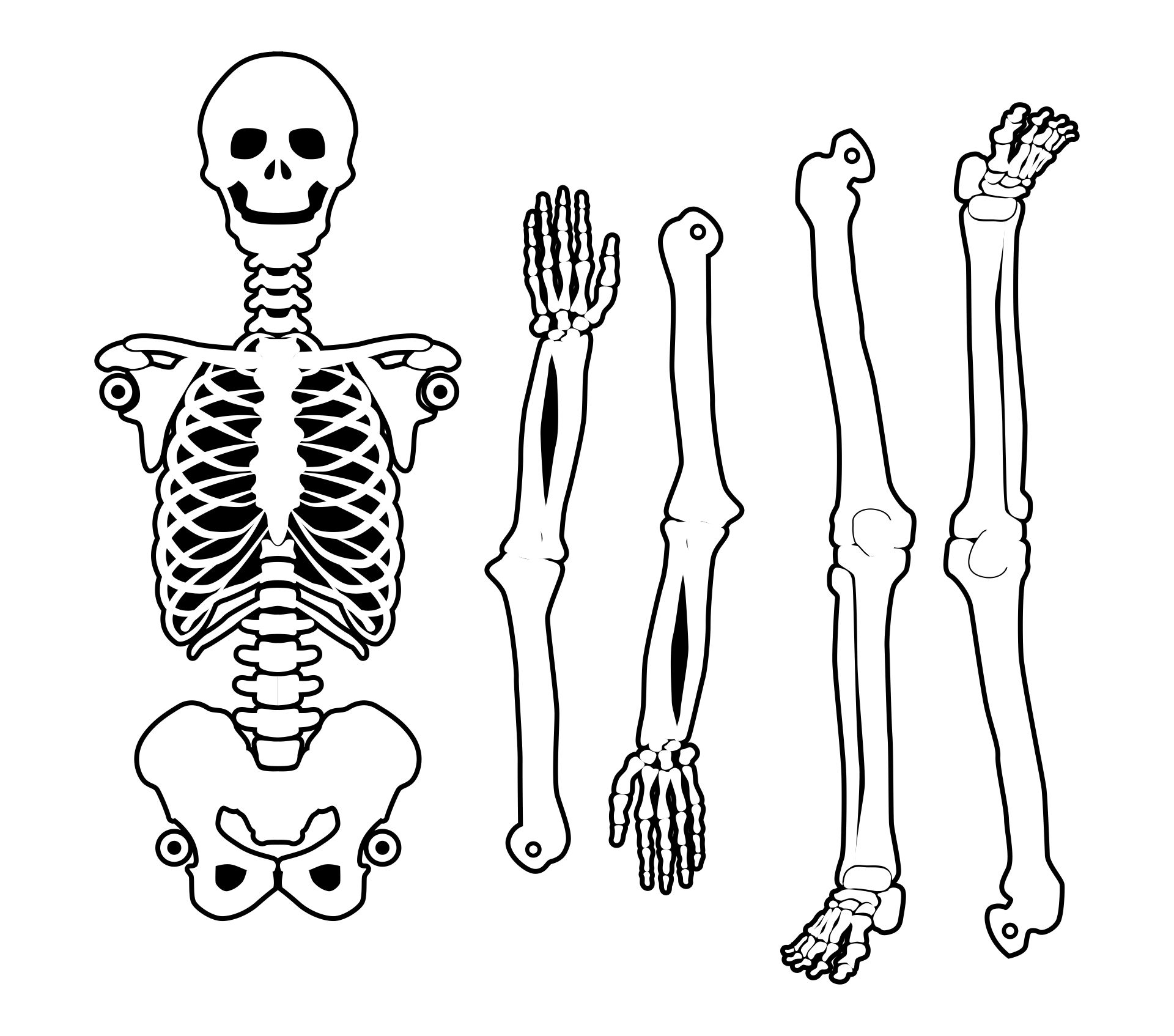 Printable Halloween Skeleton Patterns