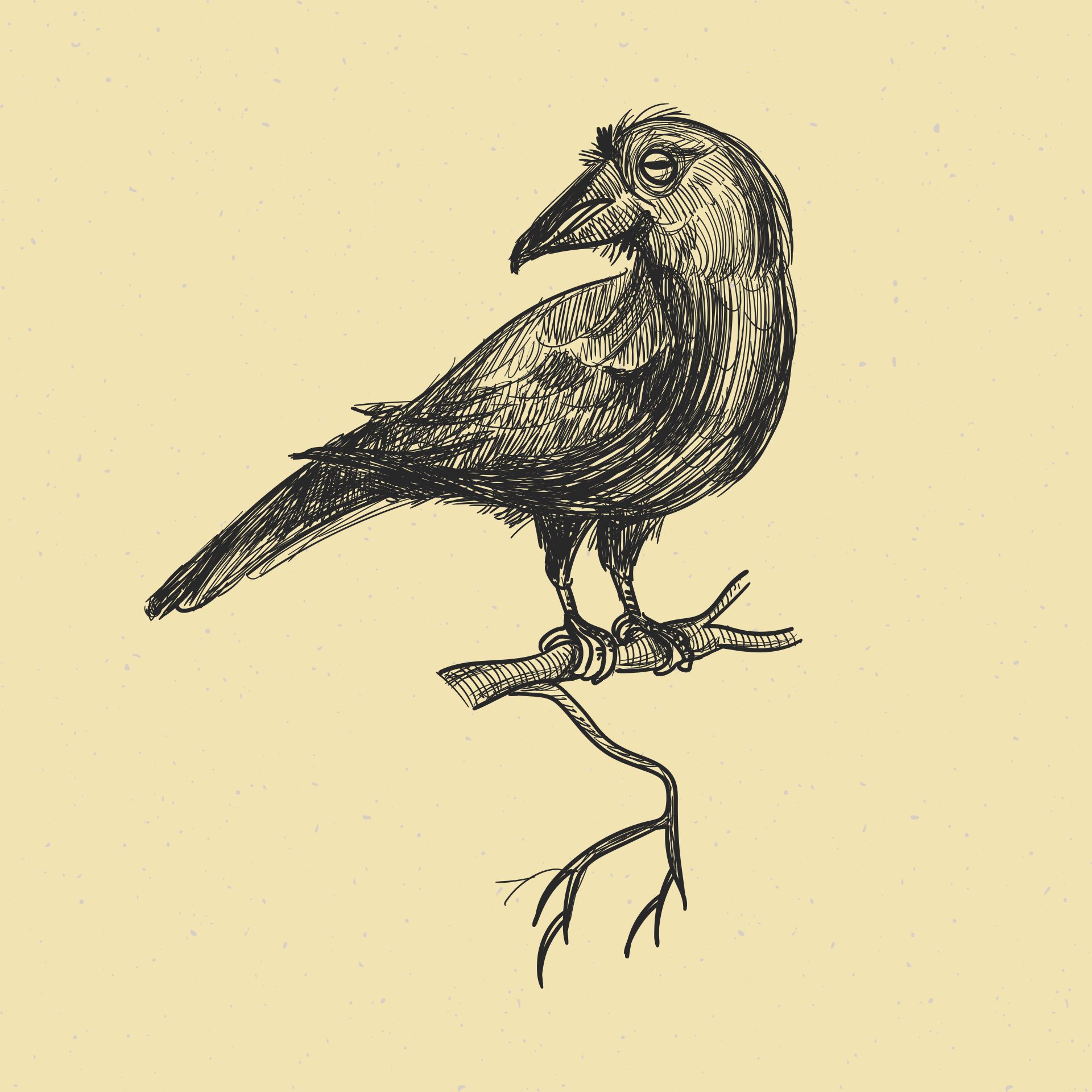 Vintage Crow Clip Art