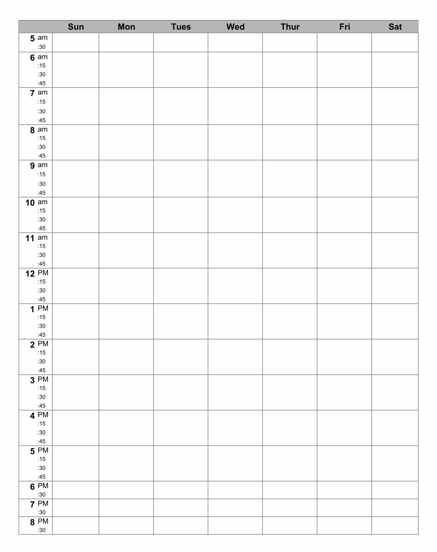 free-printable-hourly-planner-pdf-templateral