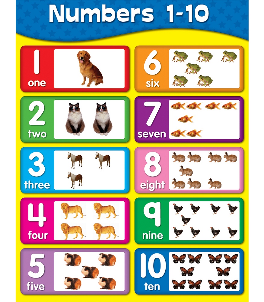 8 Best Images of Number Chart Printable For Preschool ...