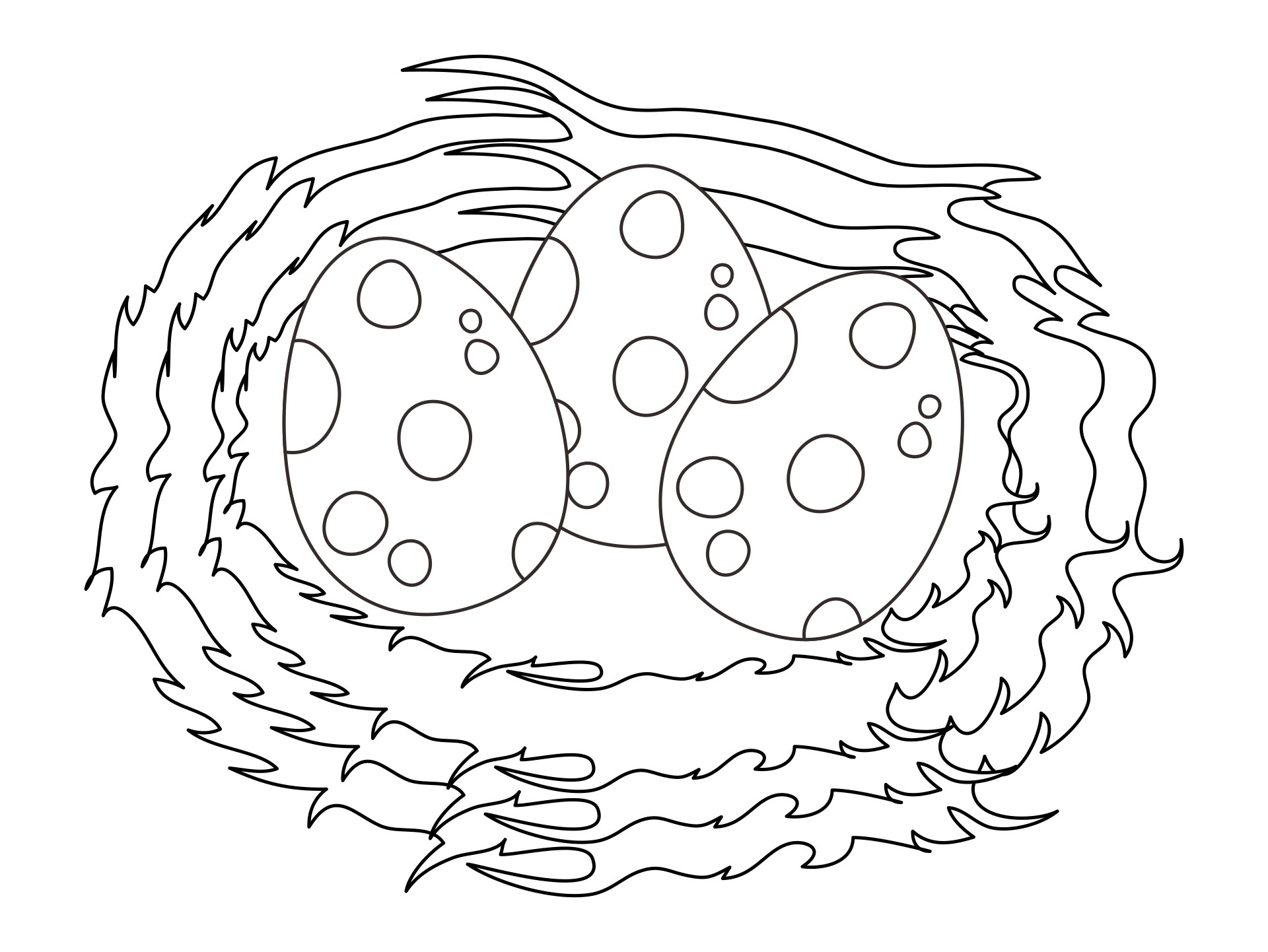 Sparrow Bird Nest Eggs Sparrow Bird Nest Eggs