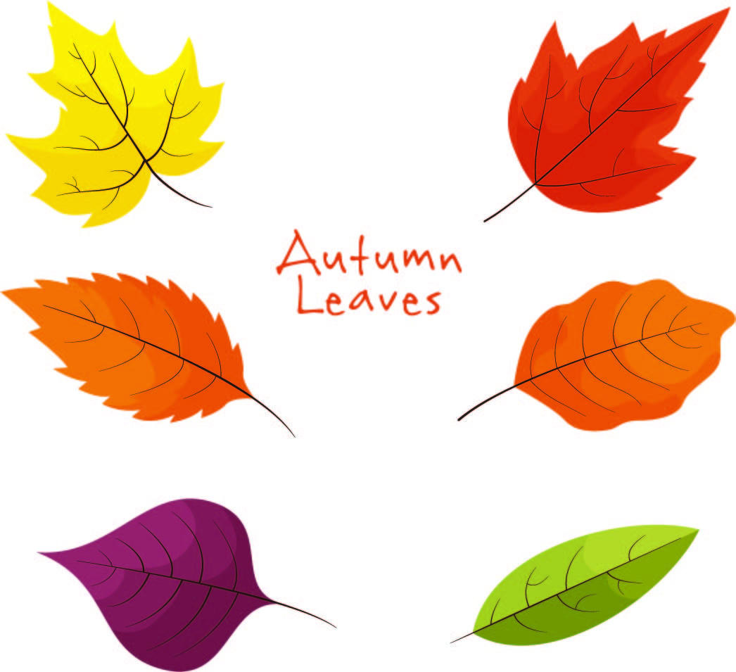 Printable Autumn Leaves