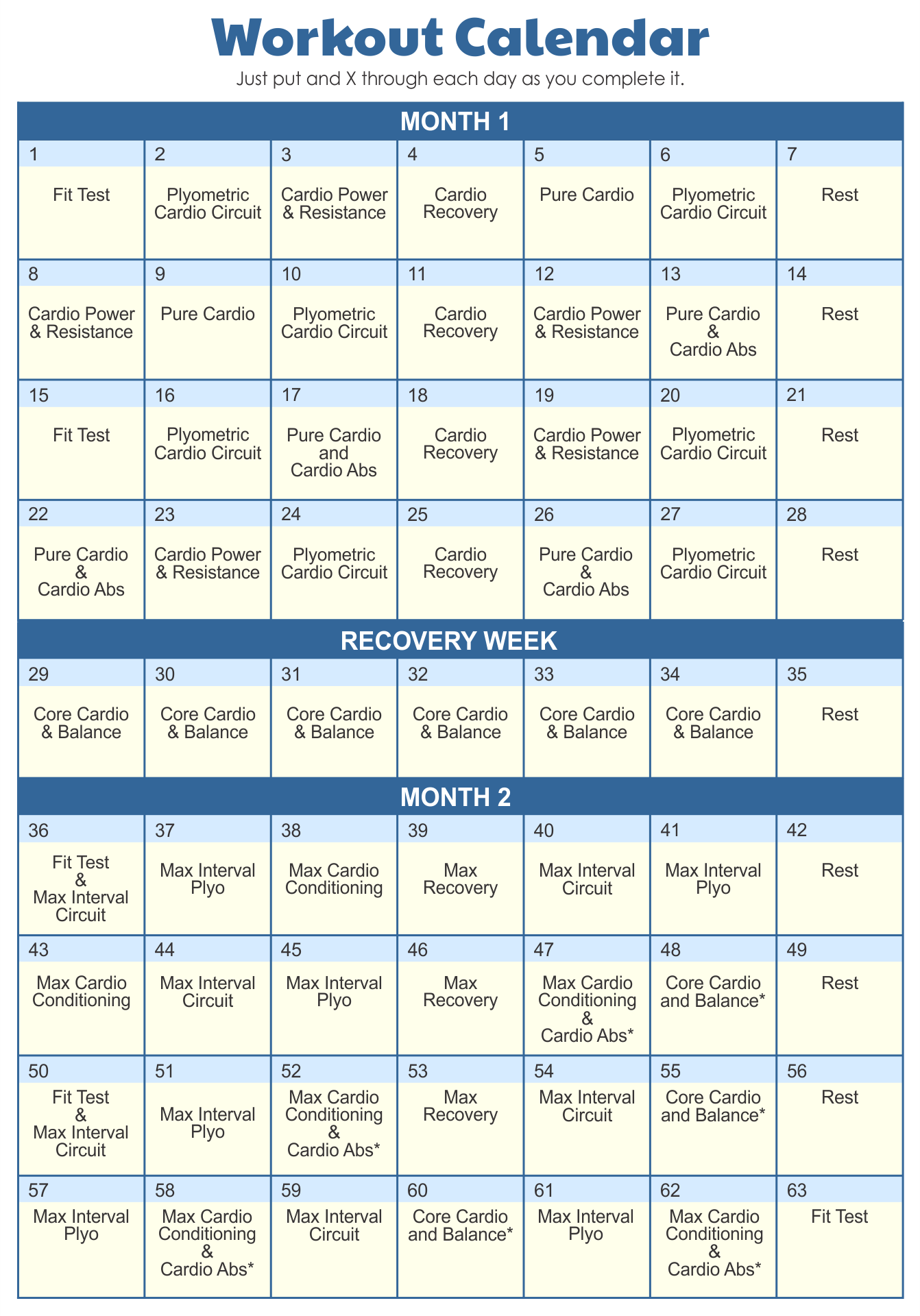 10 Best Printable Insanity Workout Schedule PDF for Free at Printablee