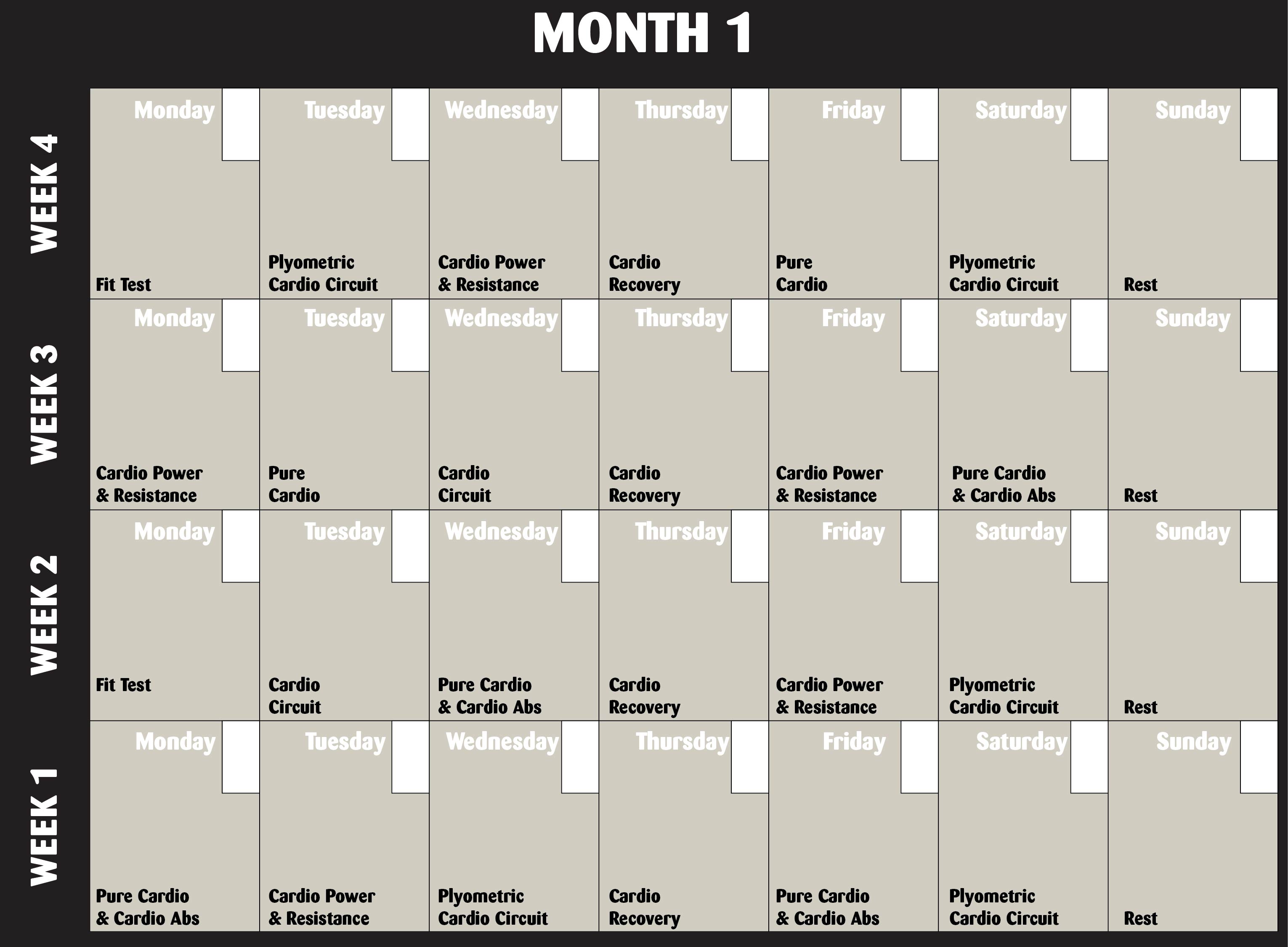 Insanity Workout Calendar Fit Test Blog Dandk