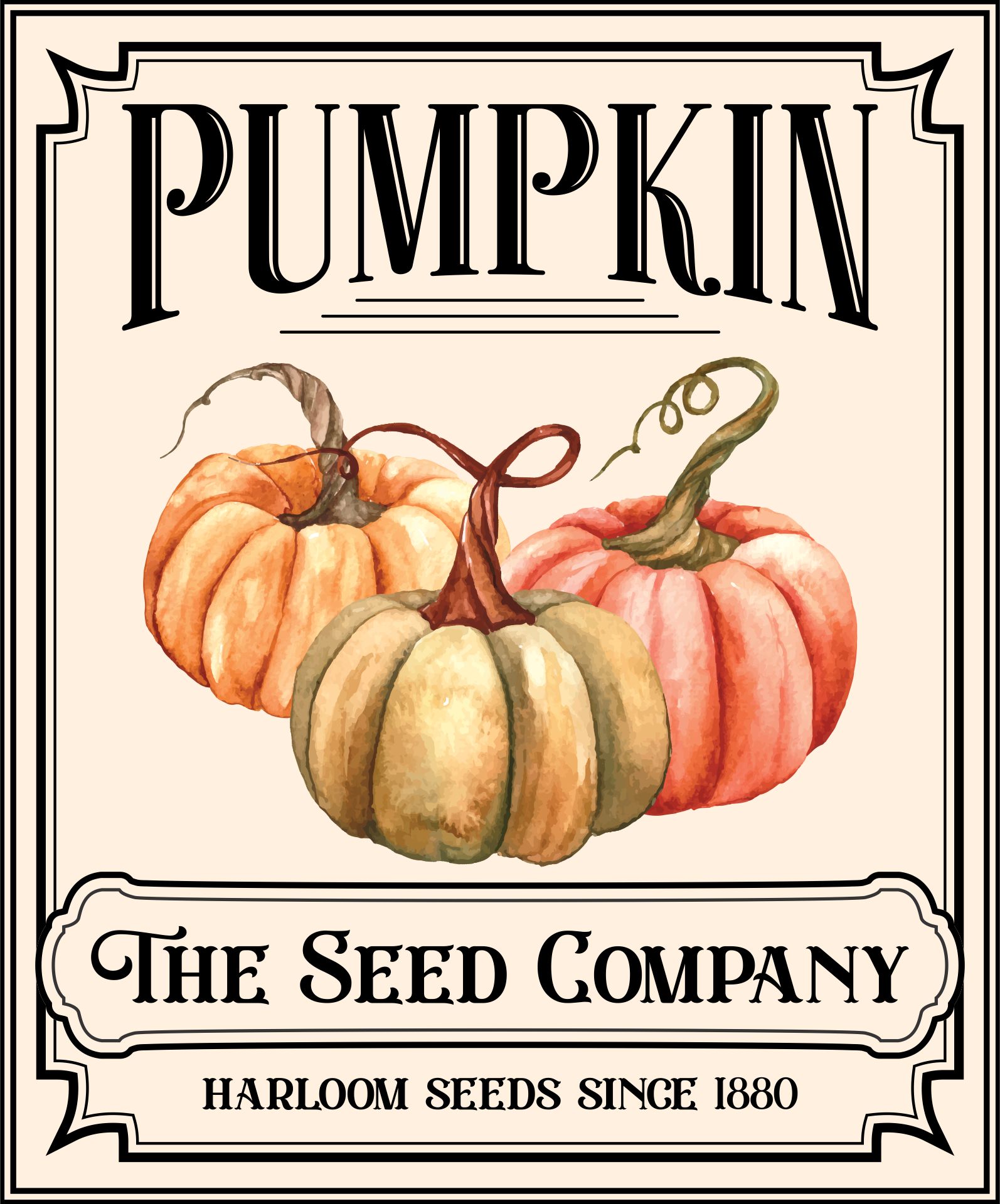 Printable Vintage Seed Packets Pumpkin