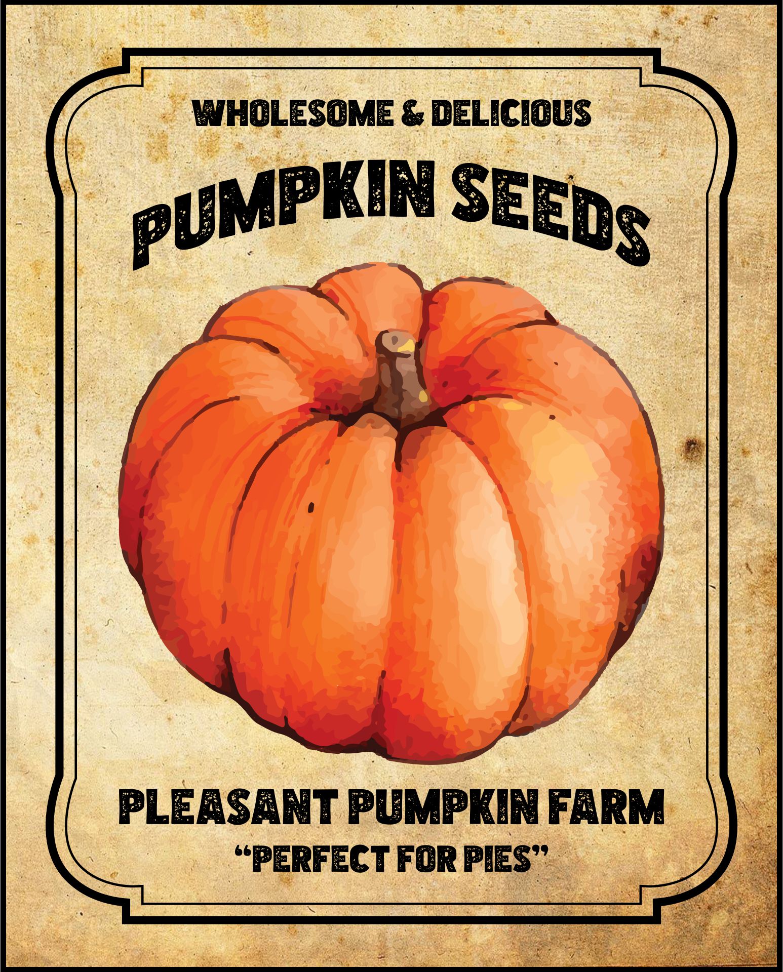 Pumpkin Seed Packet Clip Art