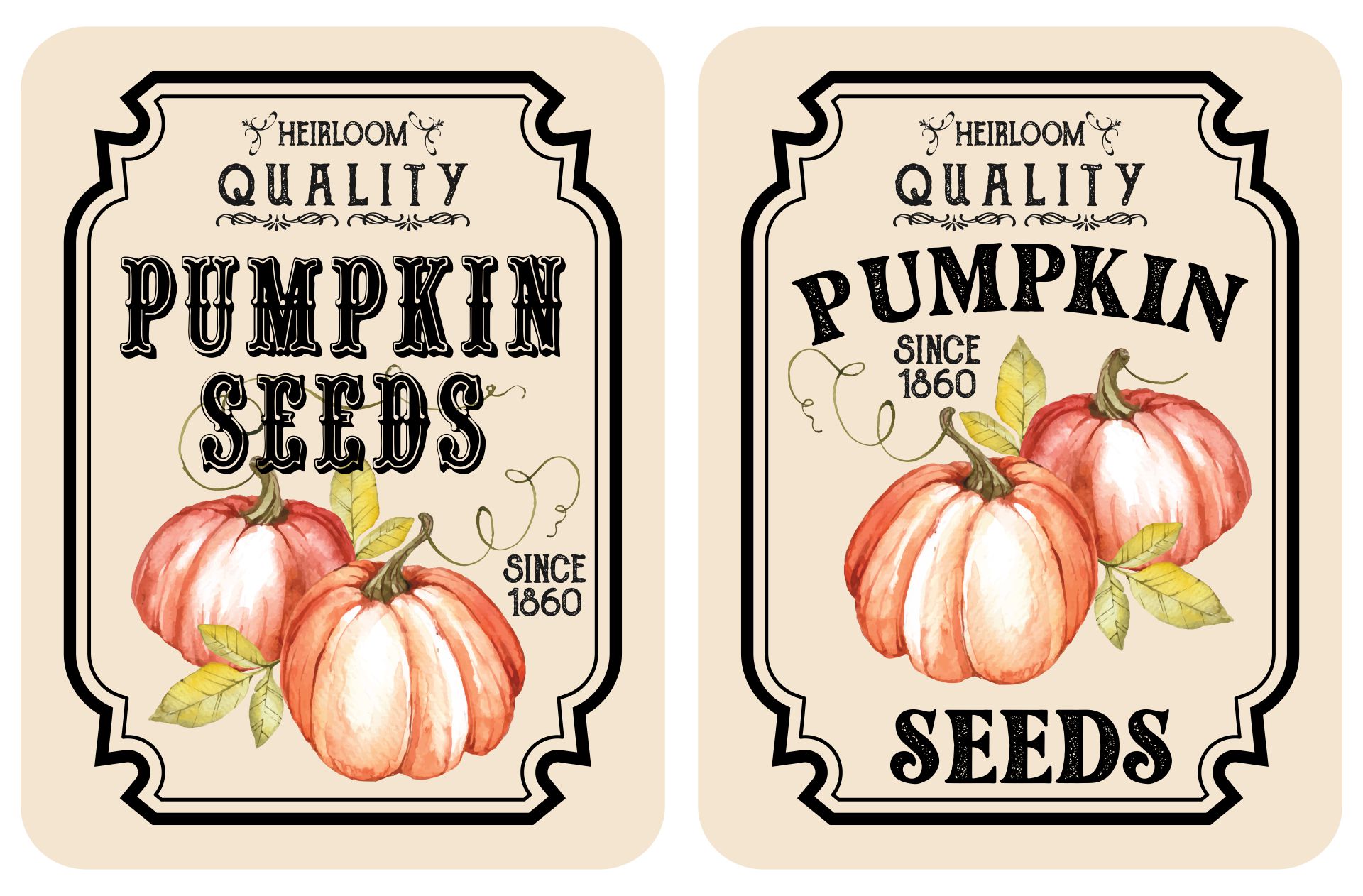 Pumpkin Seeds Printable Tag