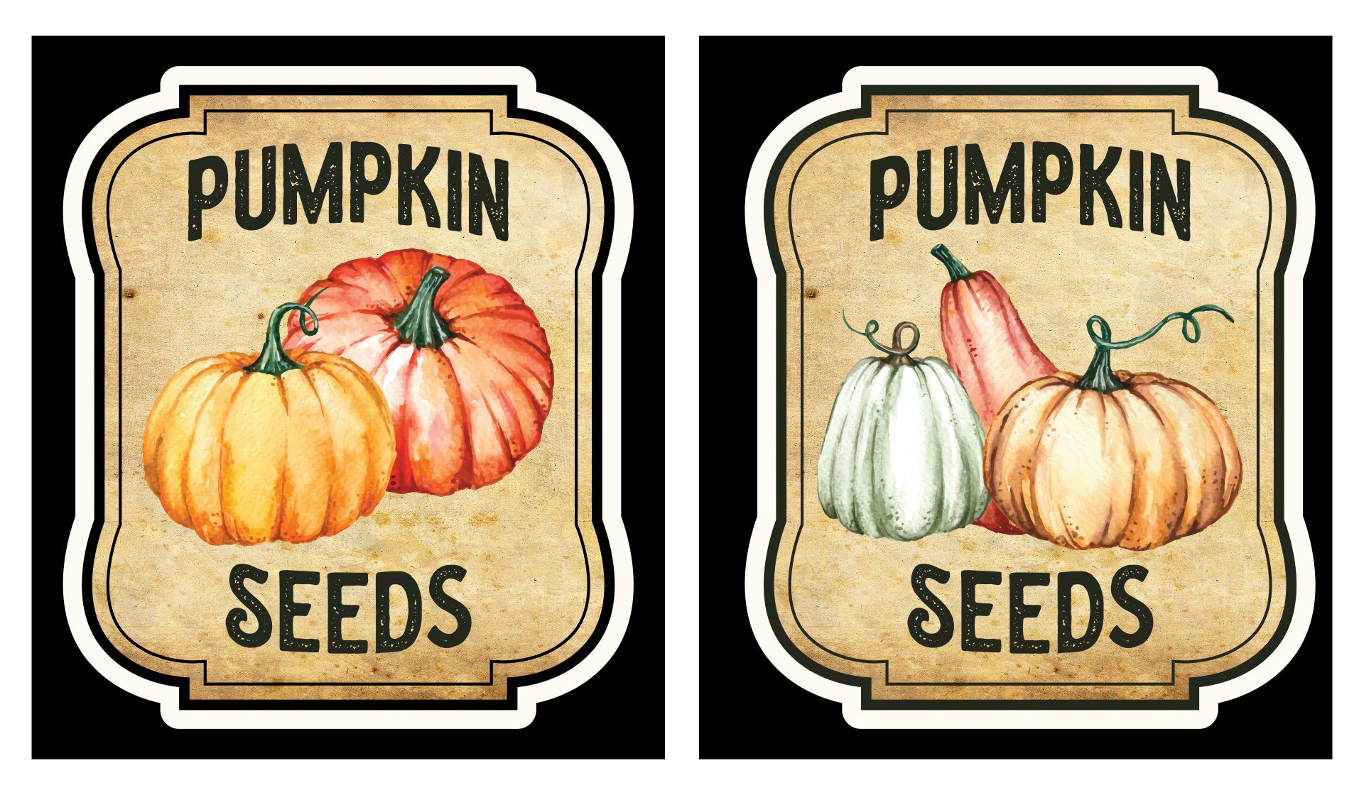 Vintage Pumpkin Printable Seed Packets