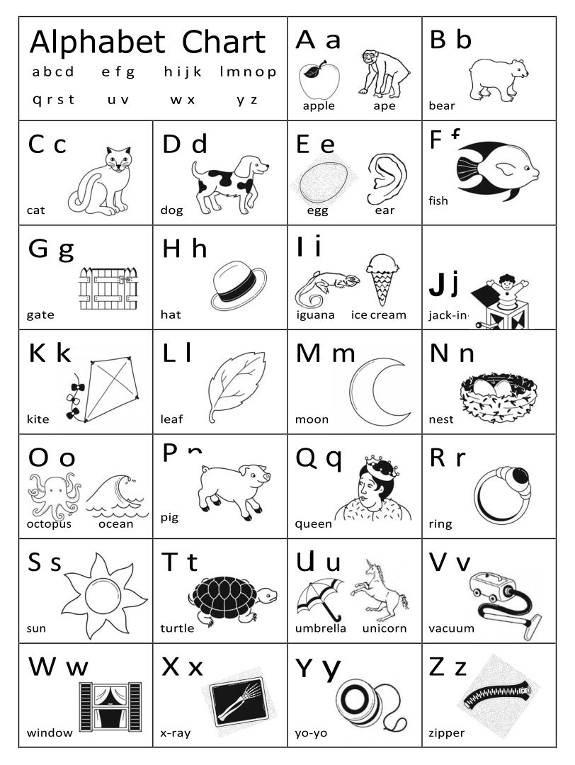 Black And White Alphabet Flash Cards - 10 Free PDF Printables | Printablee