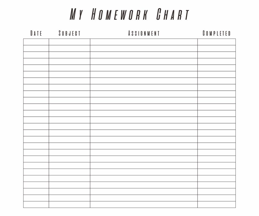 homework template pdf