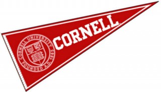 College Pennant Flags