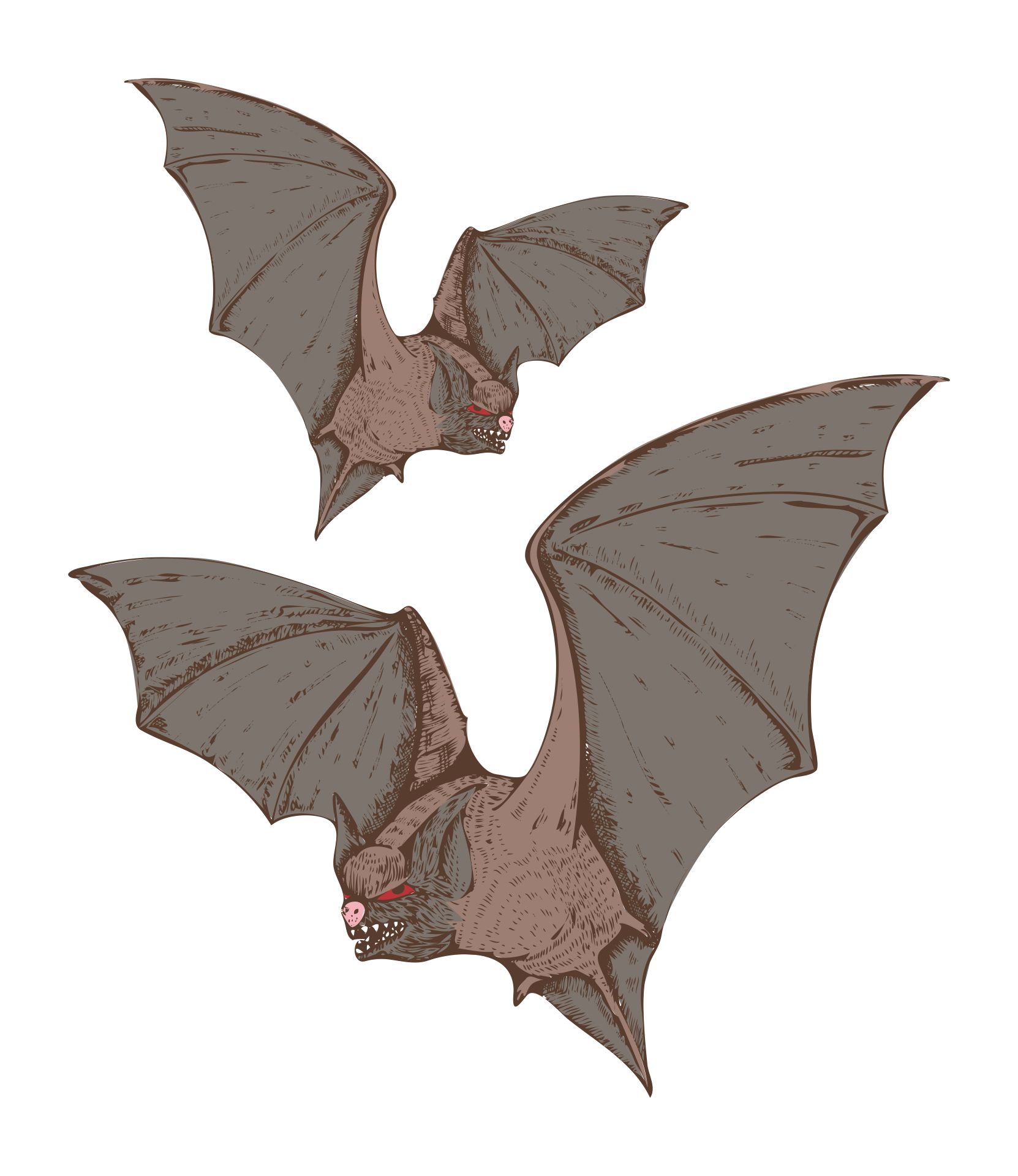 Halloween Flying Bats Clip Art