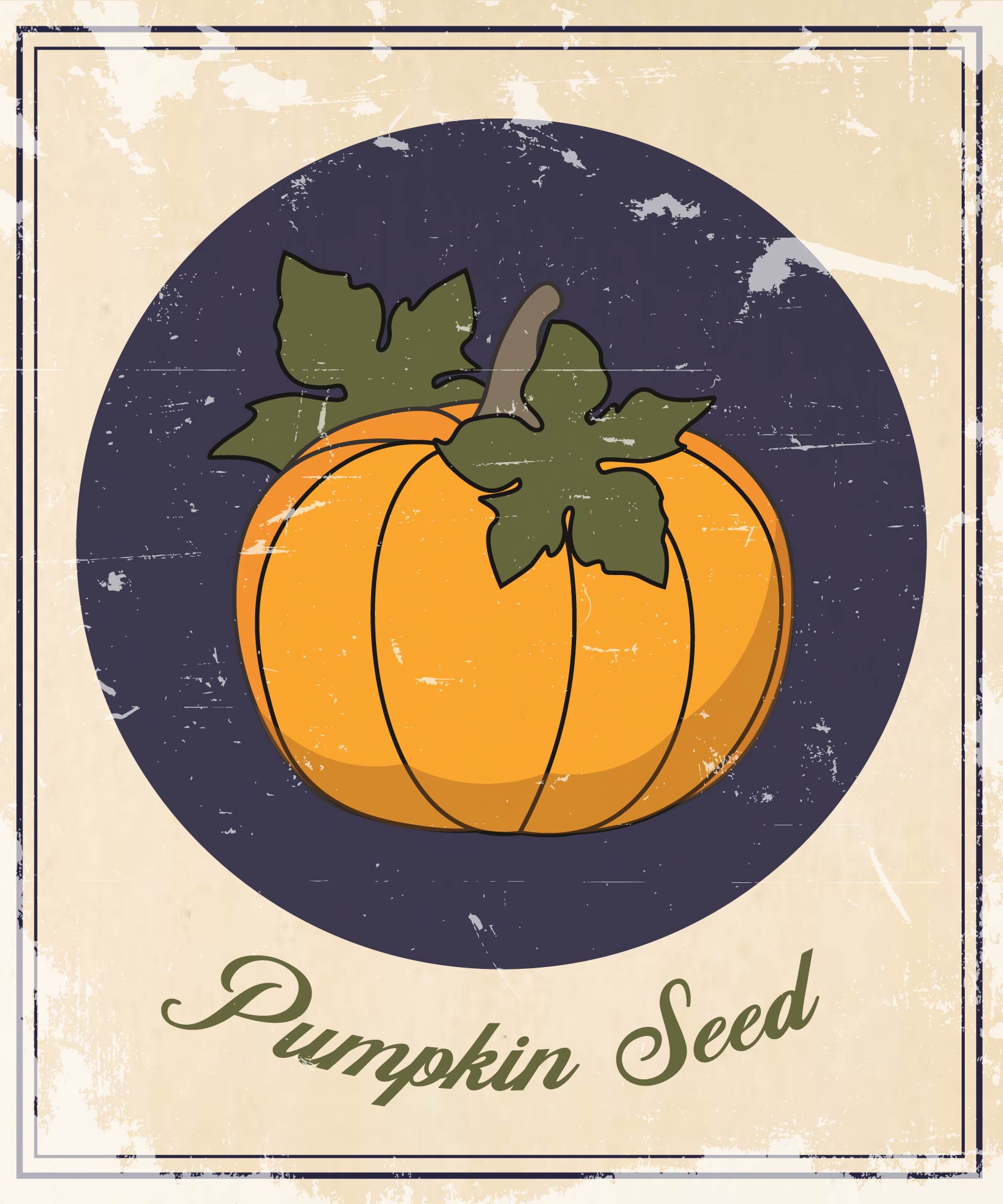 Vintage Seed Packet Pumpkin