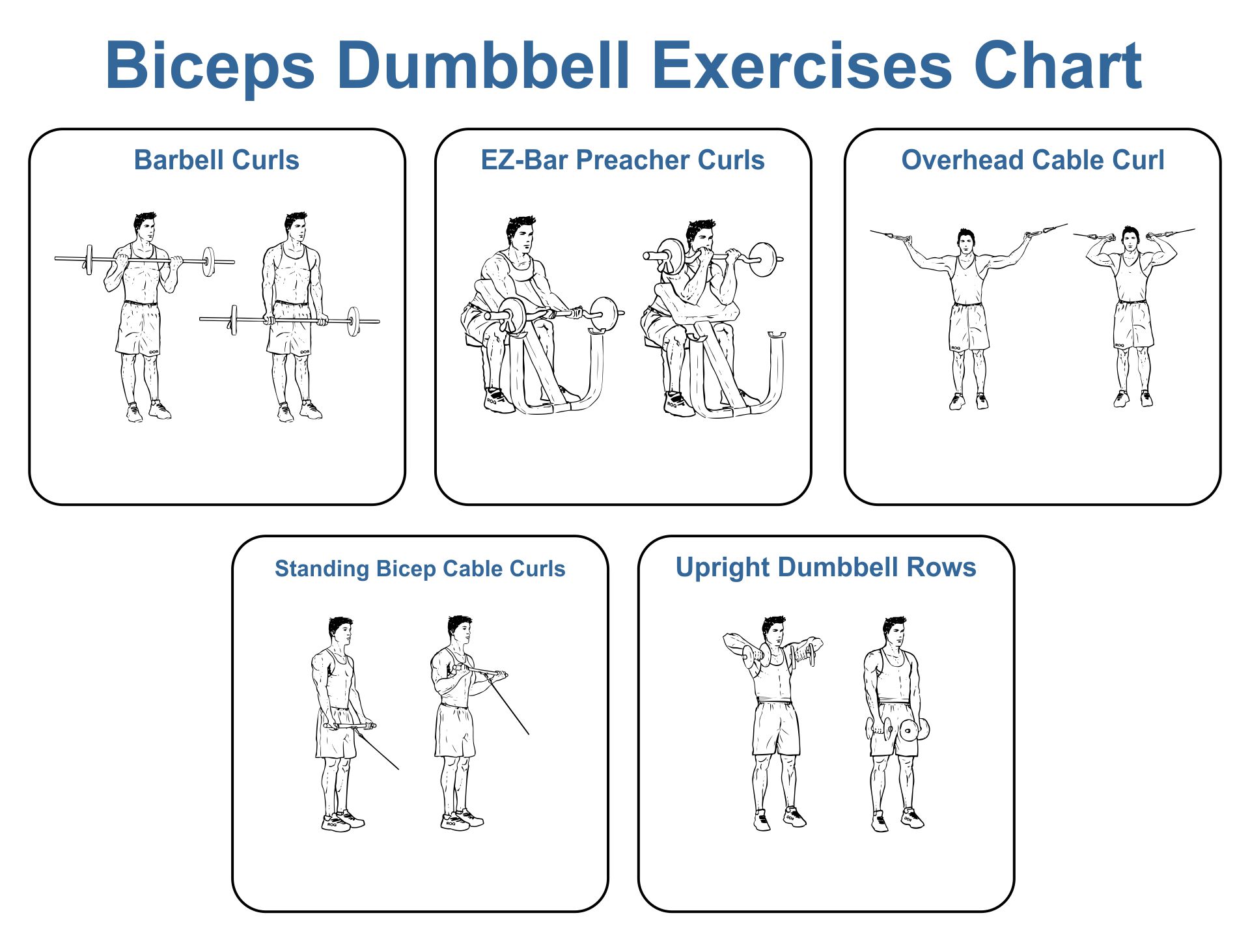 10 Best Dumbbell Exercises Chart Printable