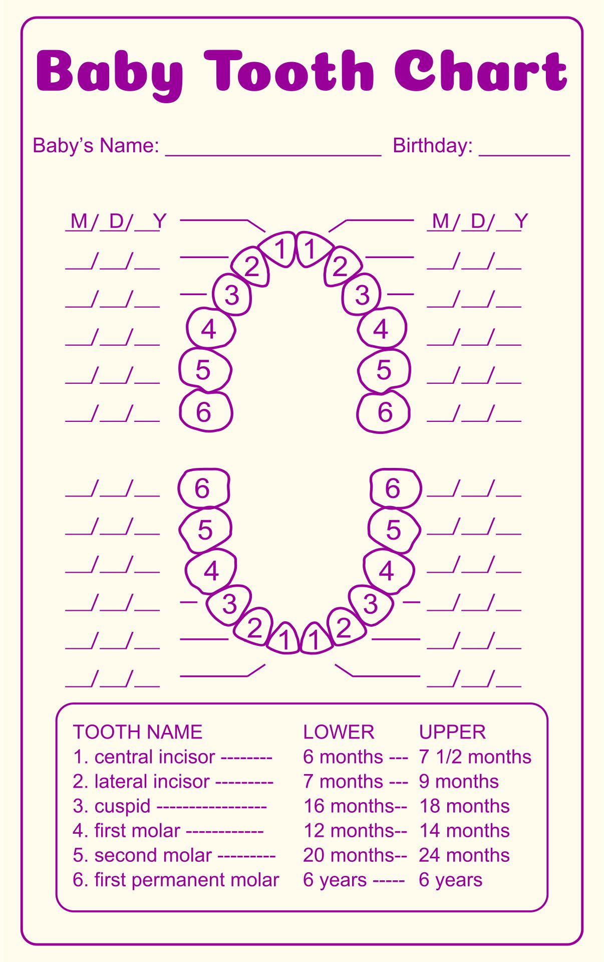 Tooth Chart Full Sheet 15 Free PDF Printables Printablee