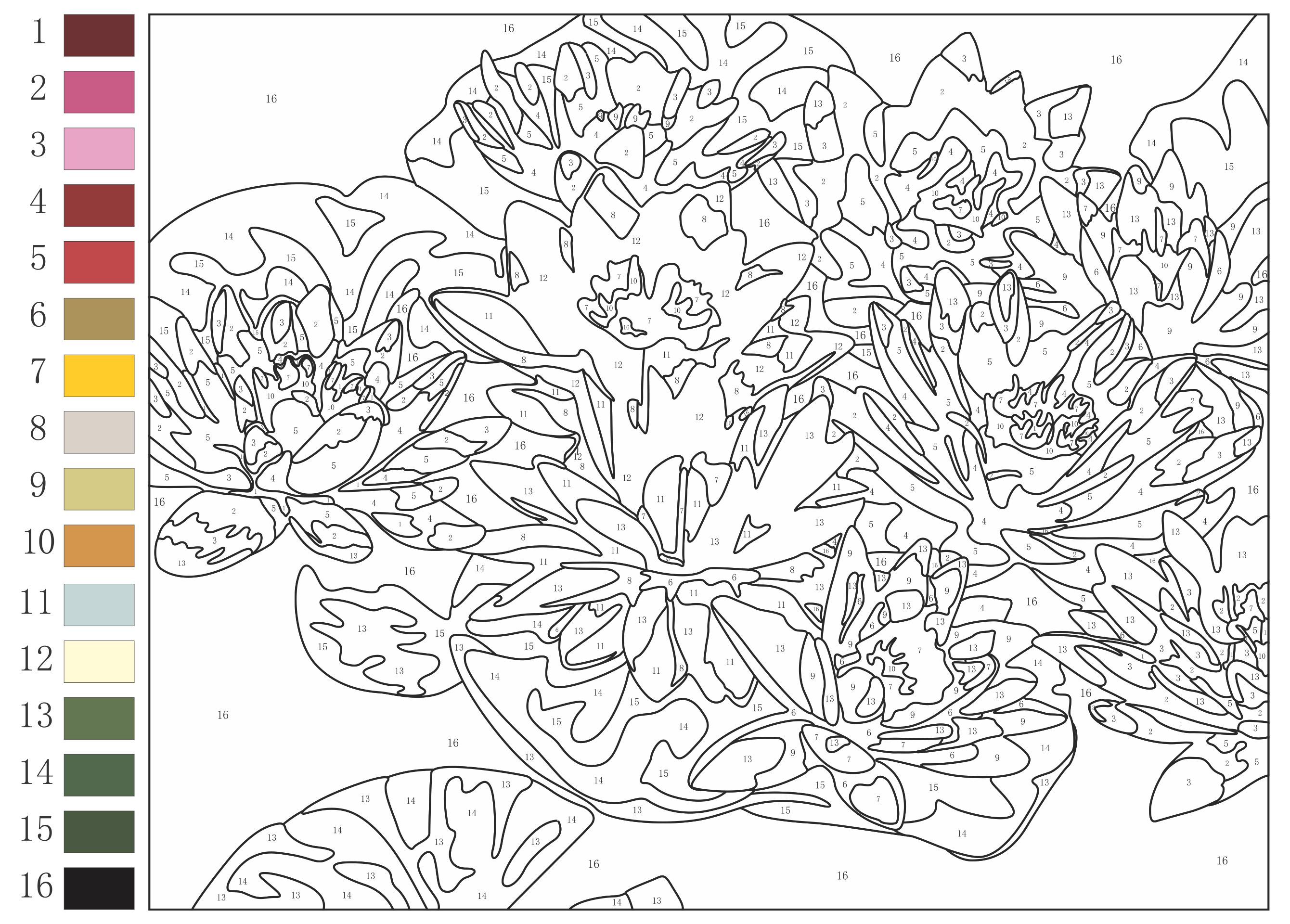 free-printable-paint-by-numbers-for-adults-coloring-home-10-free