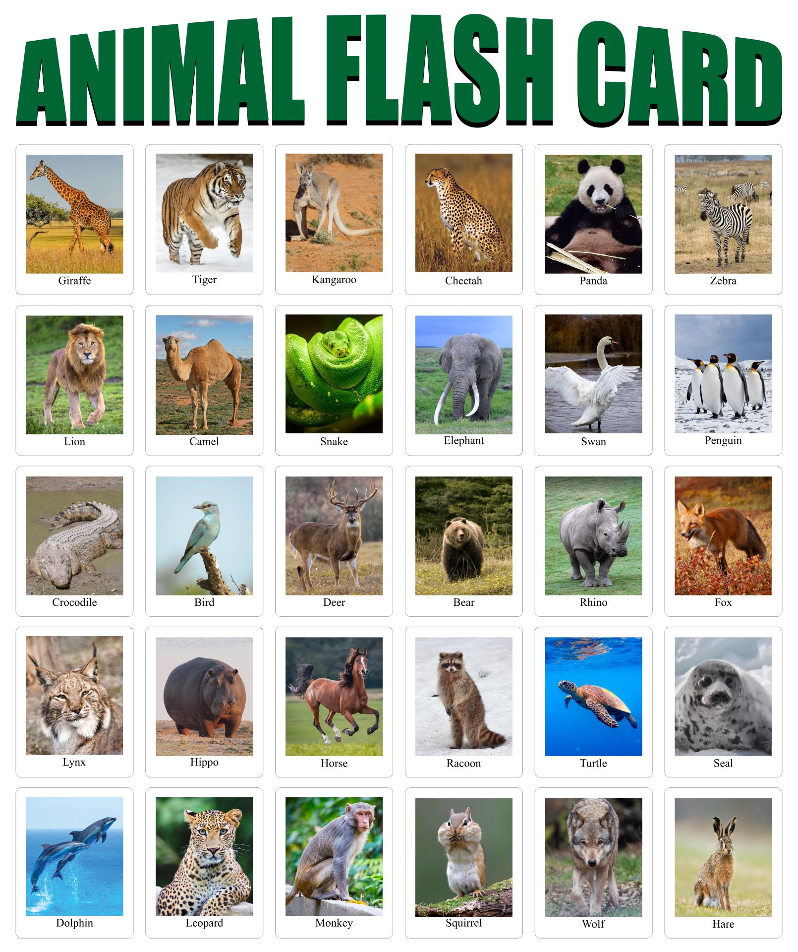 10 Best Free Printable Animal Flash Cards PDF For Free At Printablee 10 Best Free Printable Animal Flash Cards PDF For Free At Printablee
