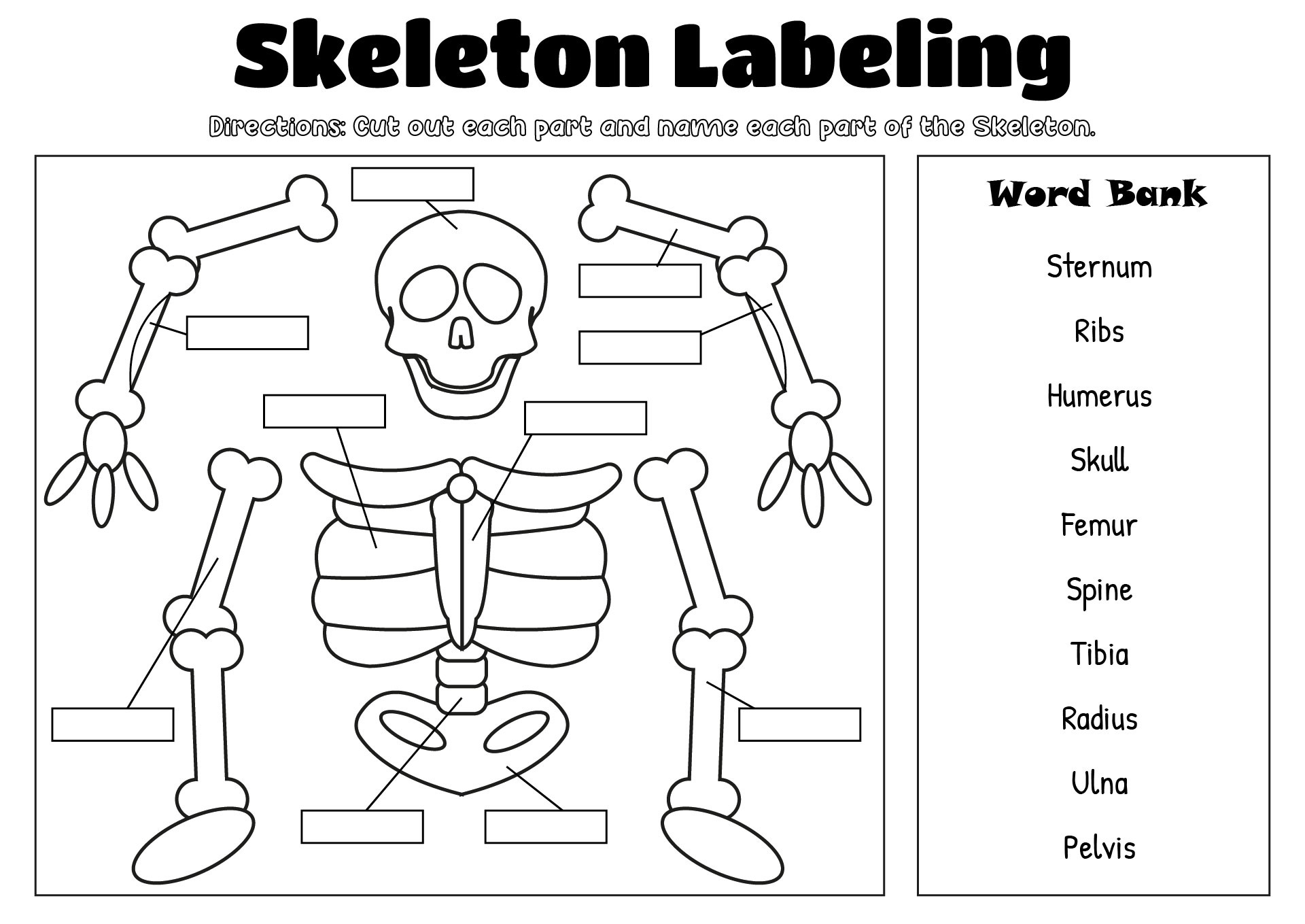 Printable Skeleton Template For Kids