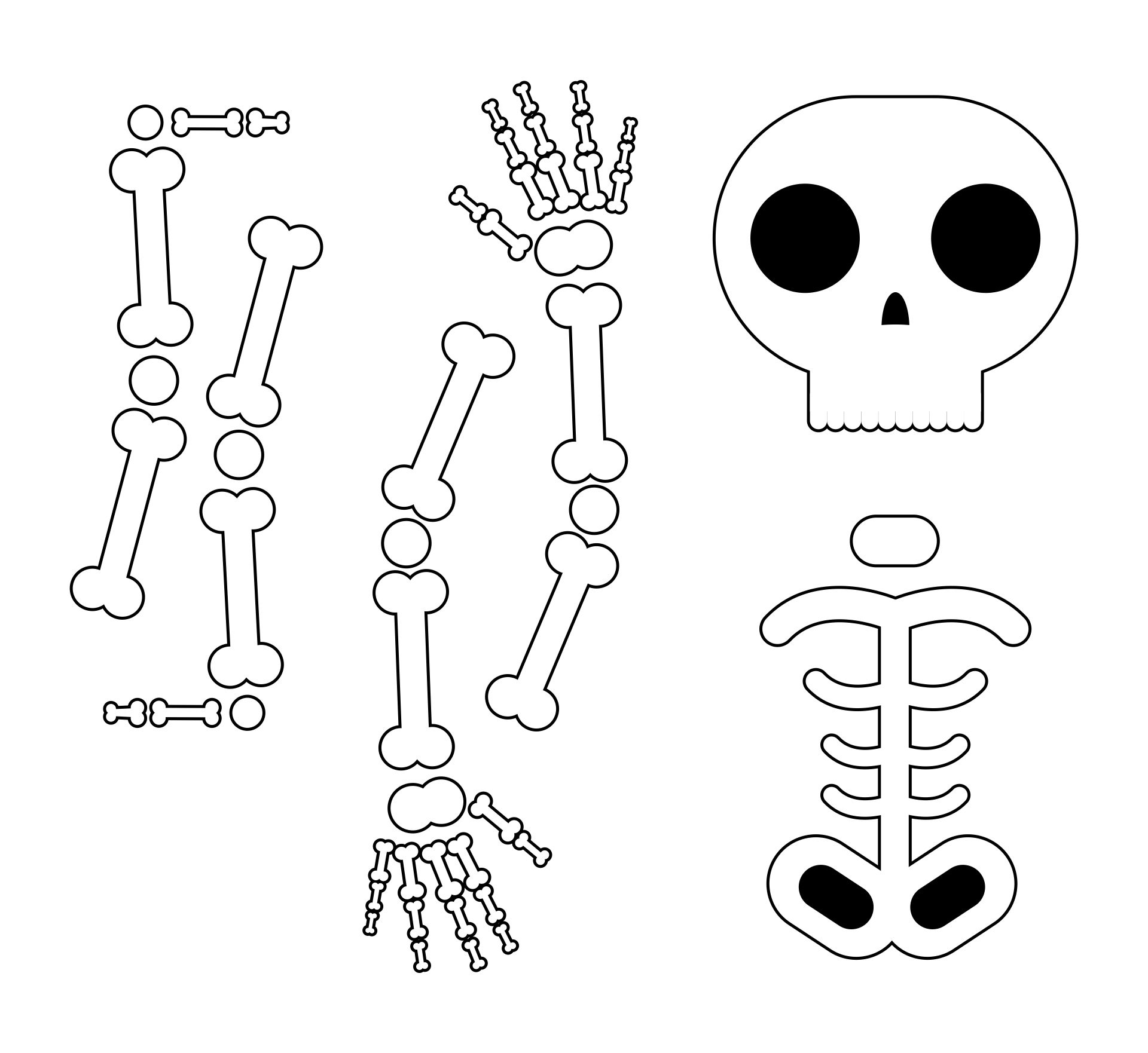 Assemble A Skeleton Printable
