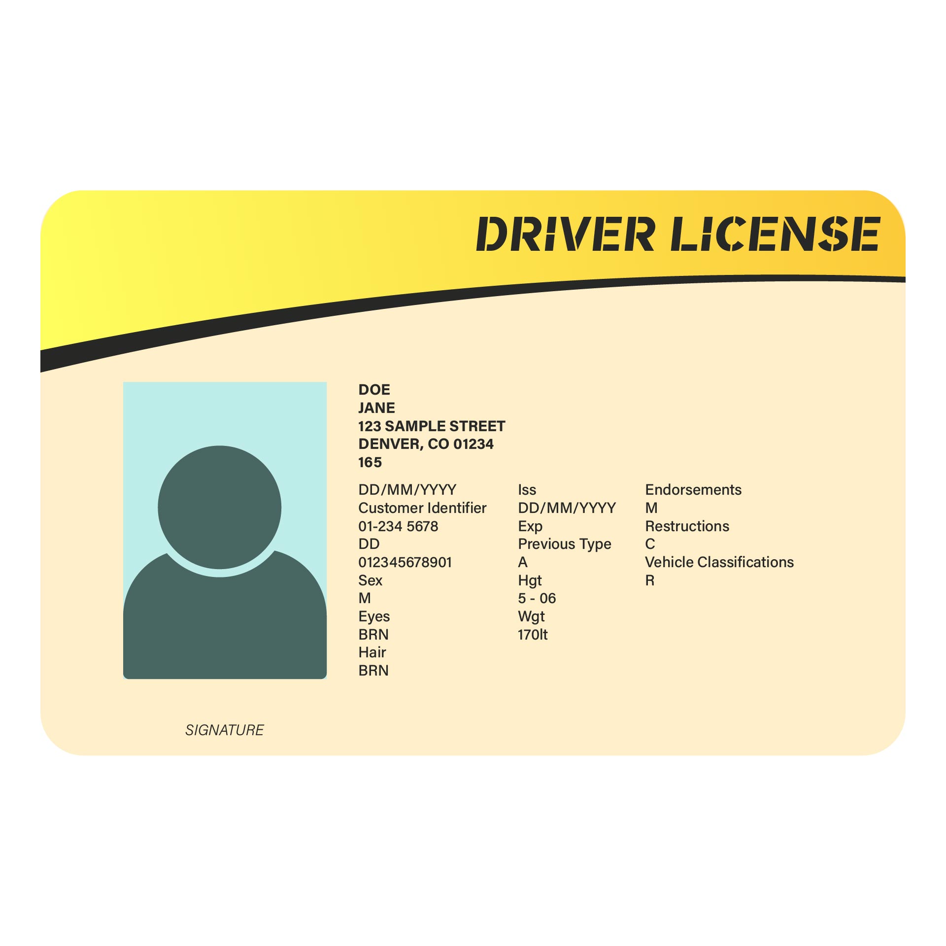 Pdf Blank Drivers License Template