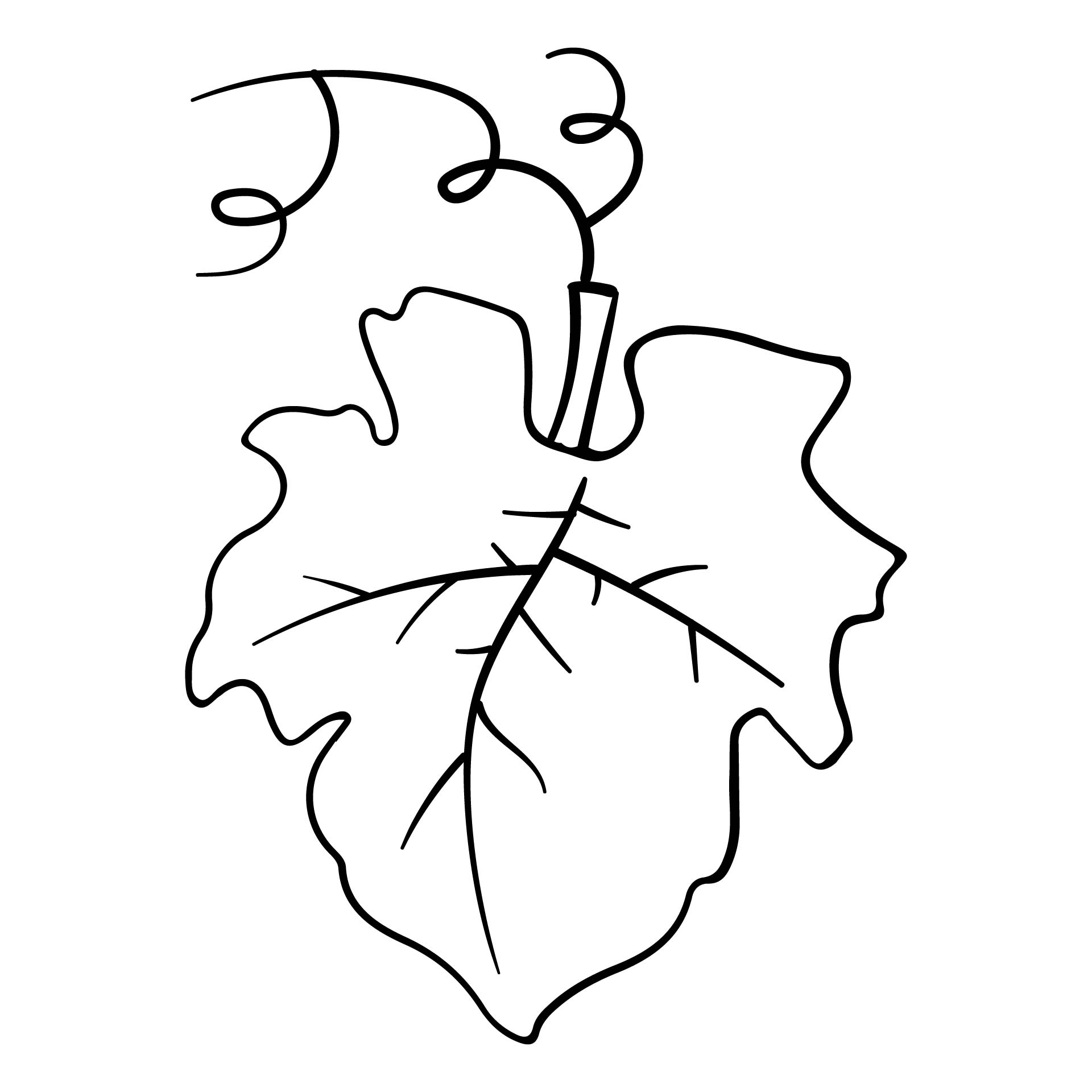 10 Best Pumpkin Leaf Template Printable Printablee