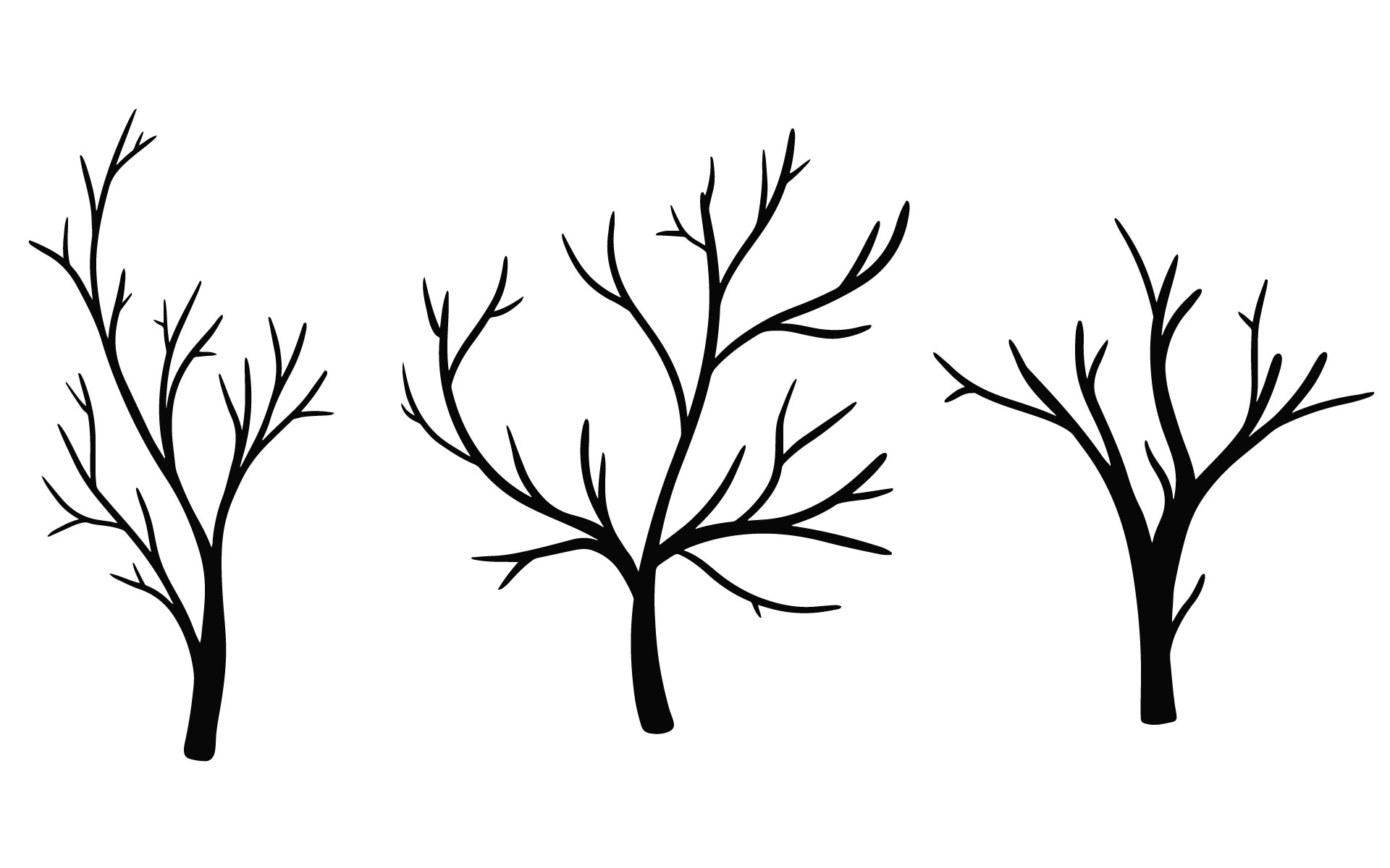 10-best-fall-printable-tree-templates-printablee